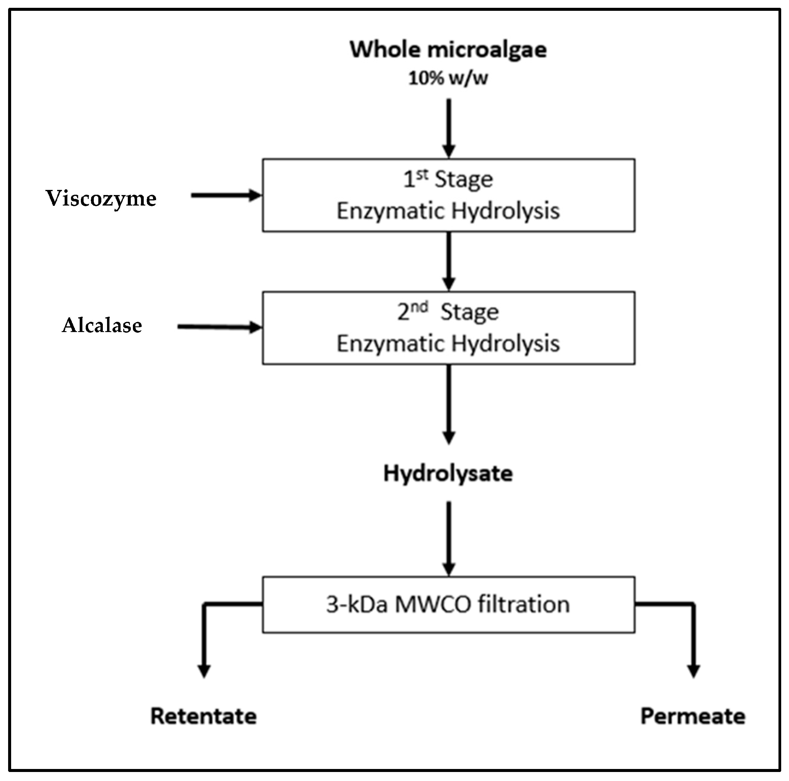 Marinedrugs 23 00053 g004