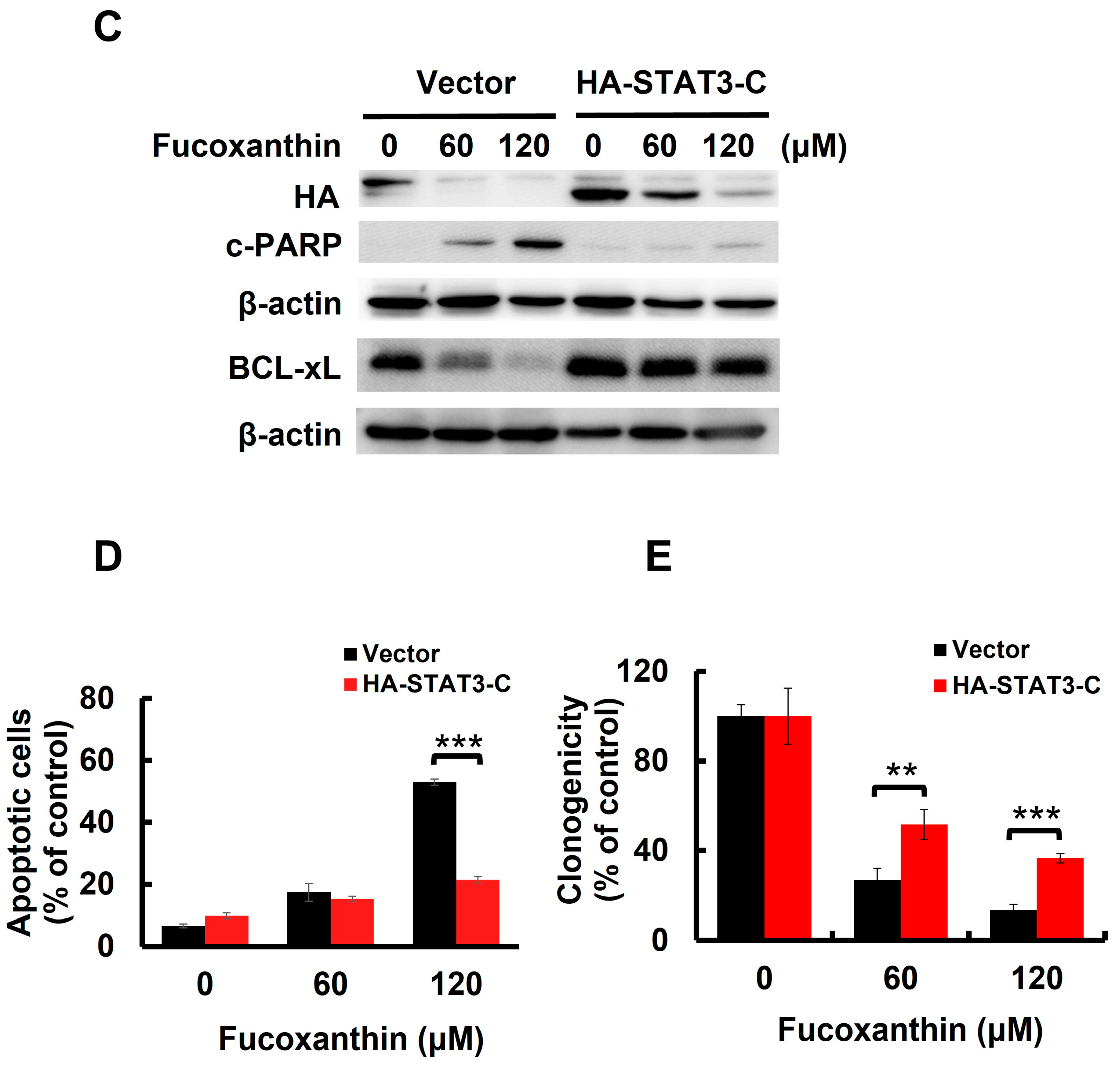 Marinedrugs 23 00054 g003b