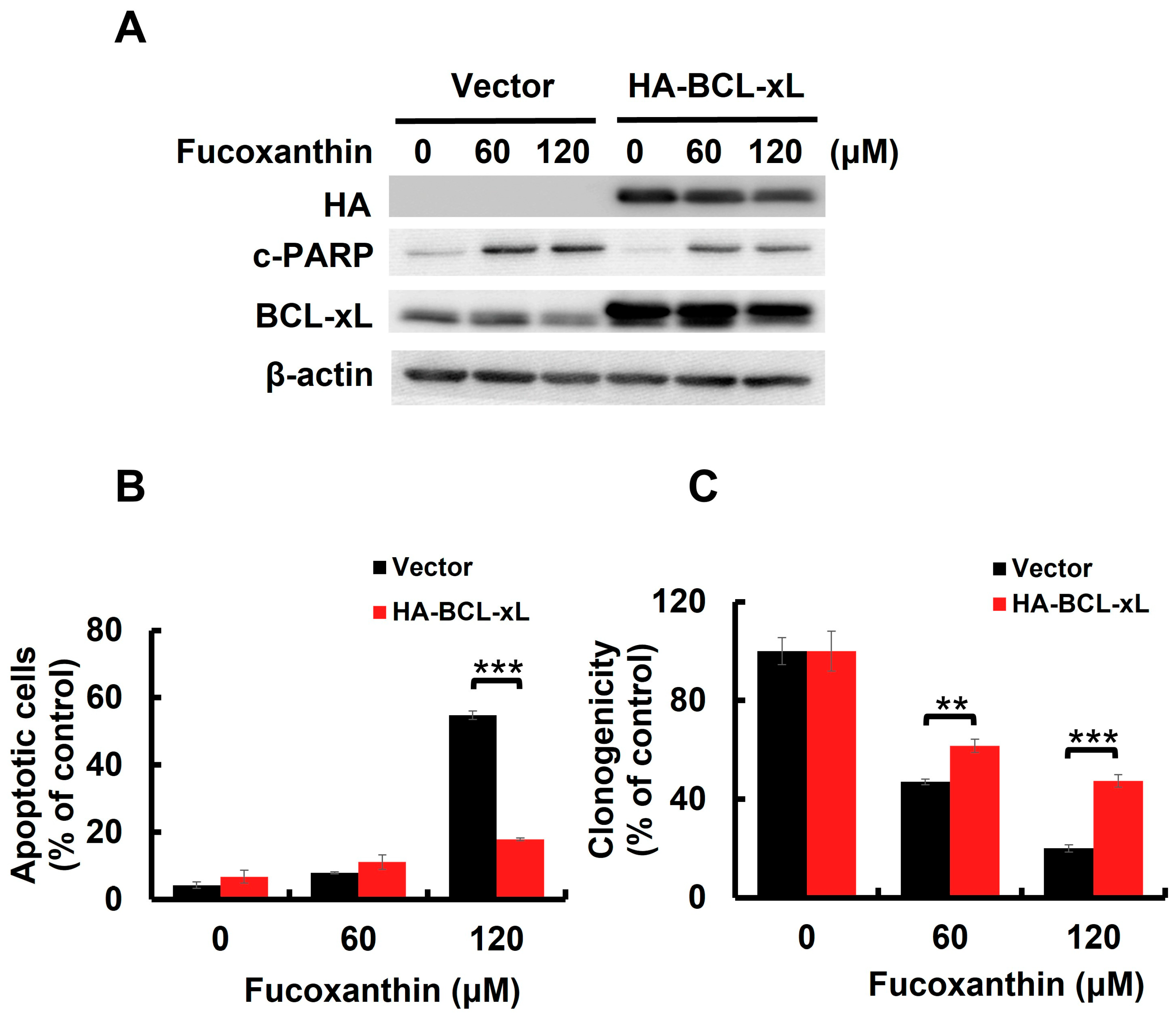 Marinedrugs 23 00054 g004