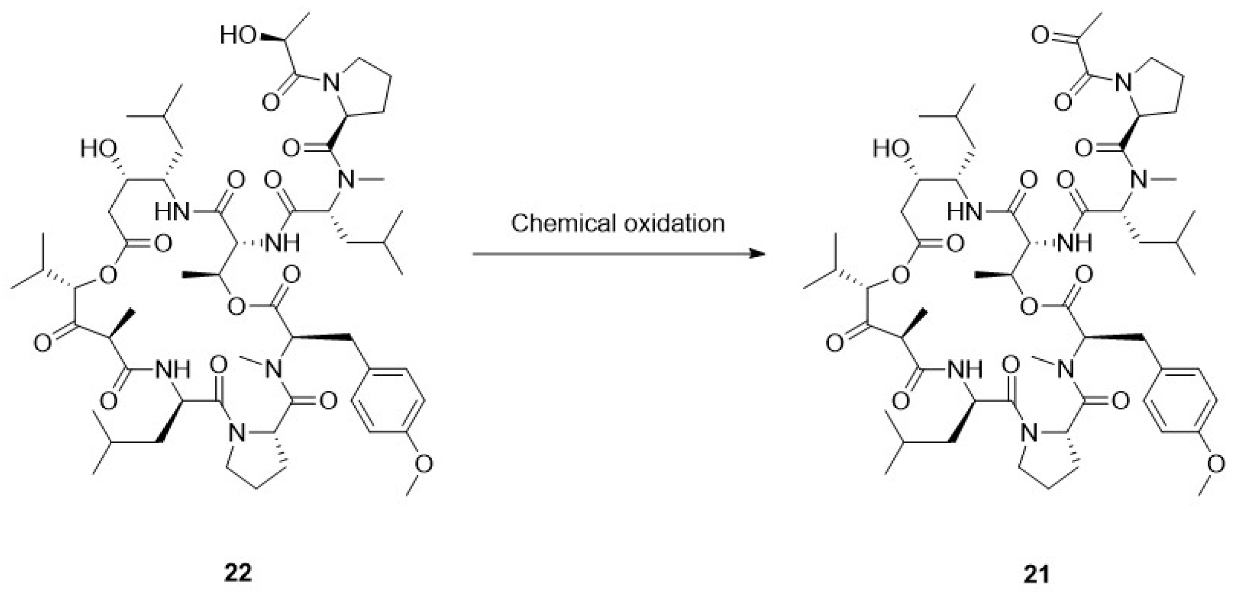 Marinedrugs 23 00069 g002