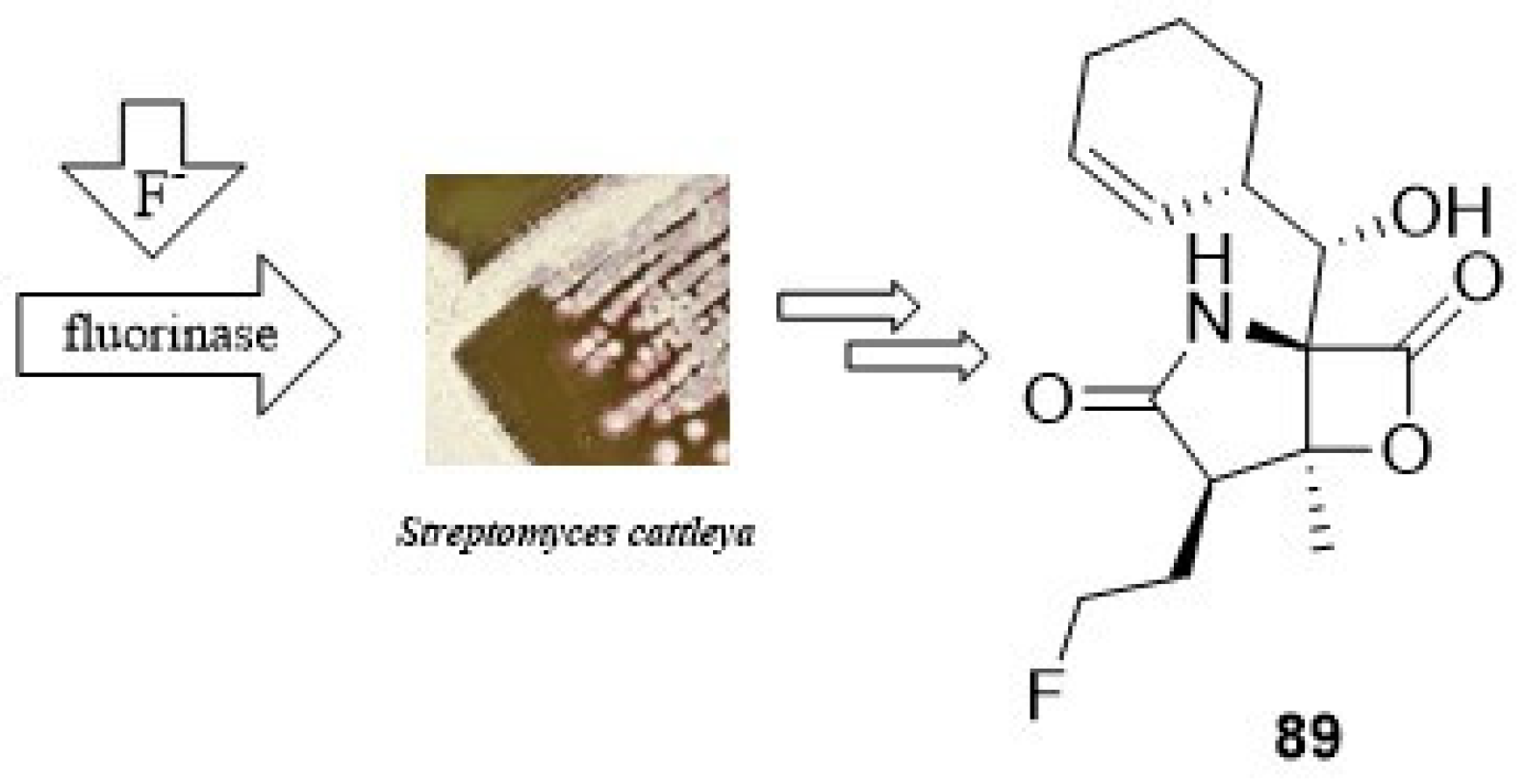 Marinedrugs 23 00069 g015