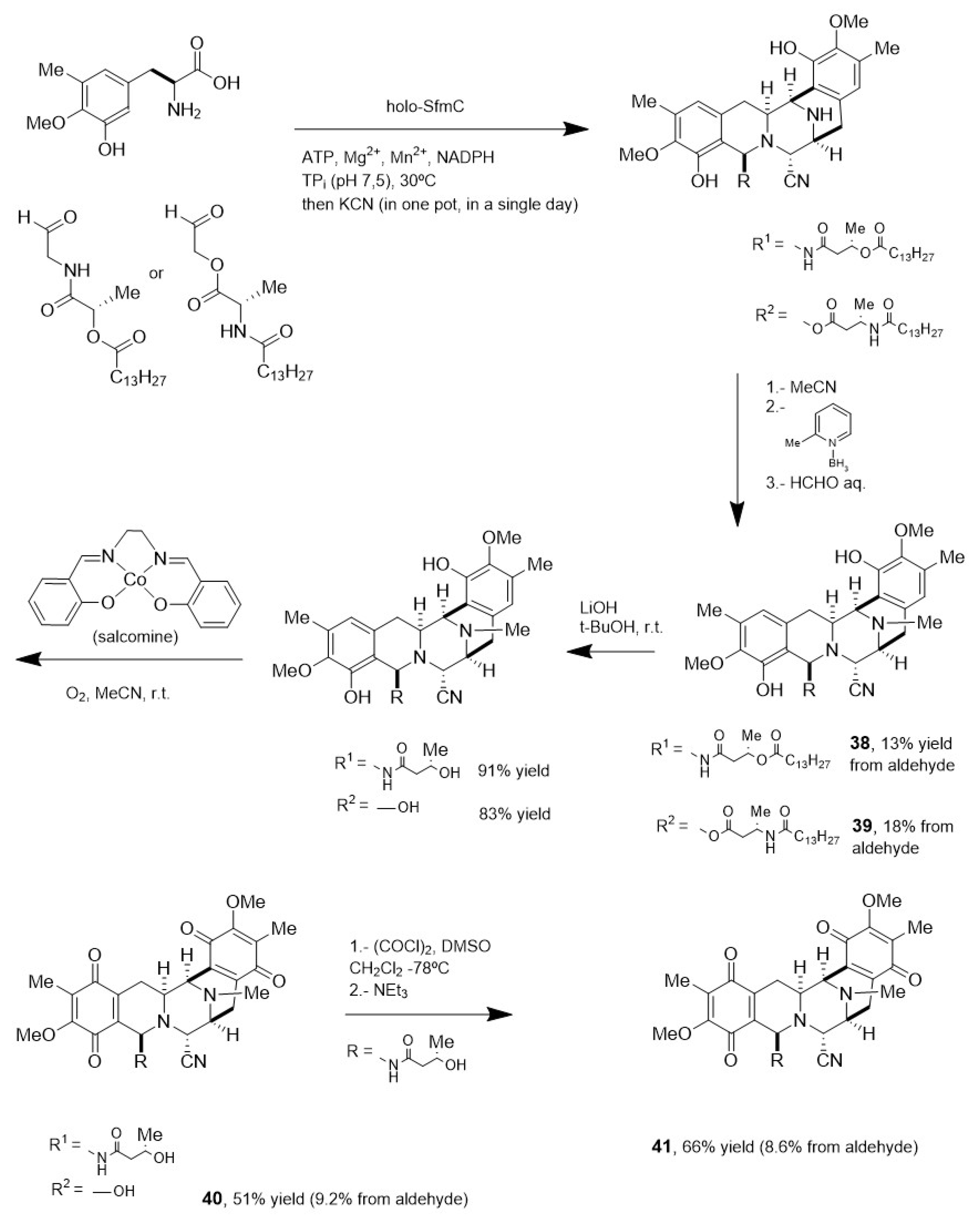 Marinedrugs 23 00069 sch014