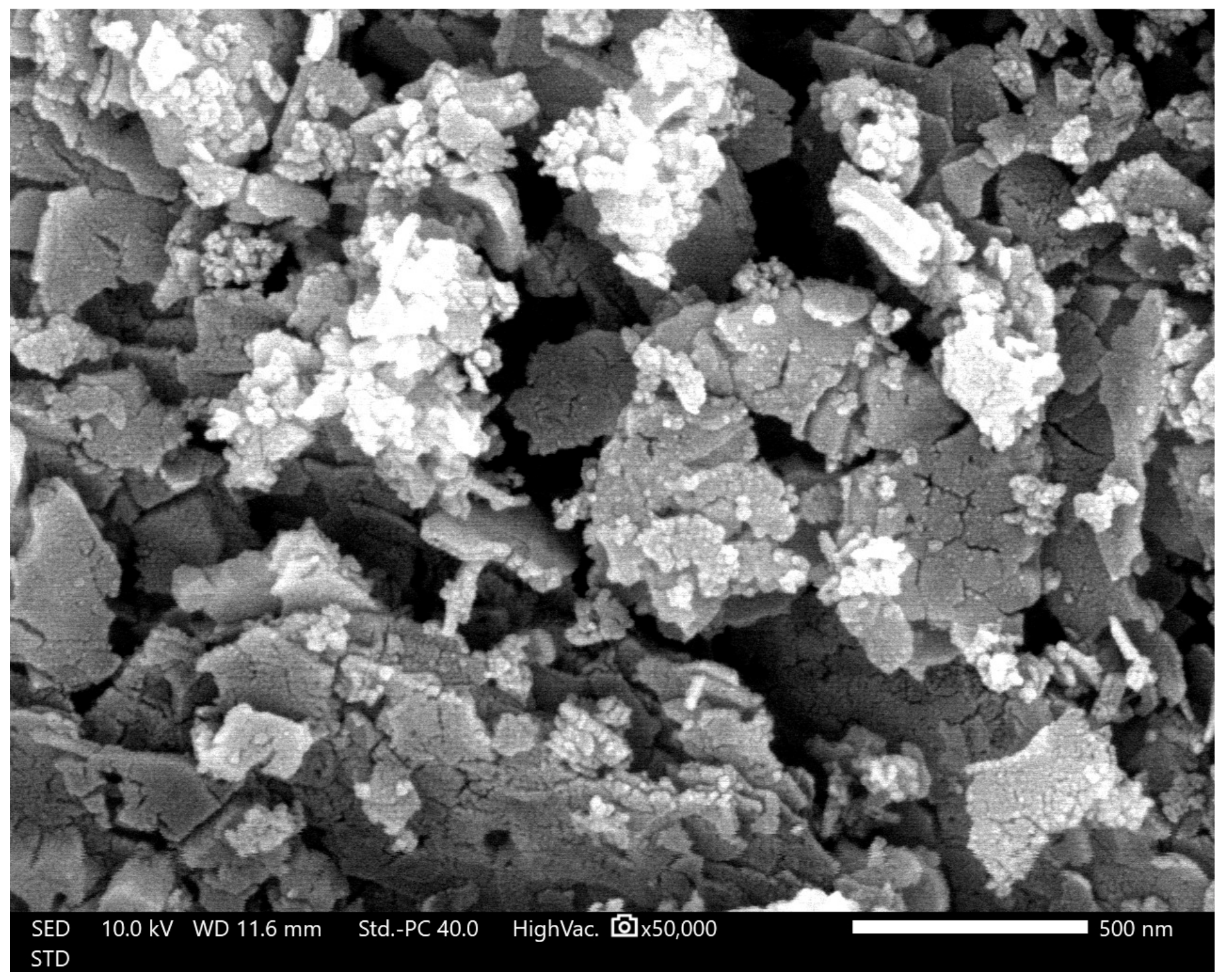 Marinedrugs 23 00071 g005