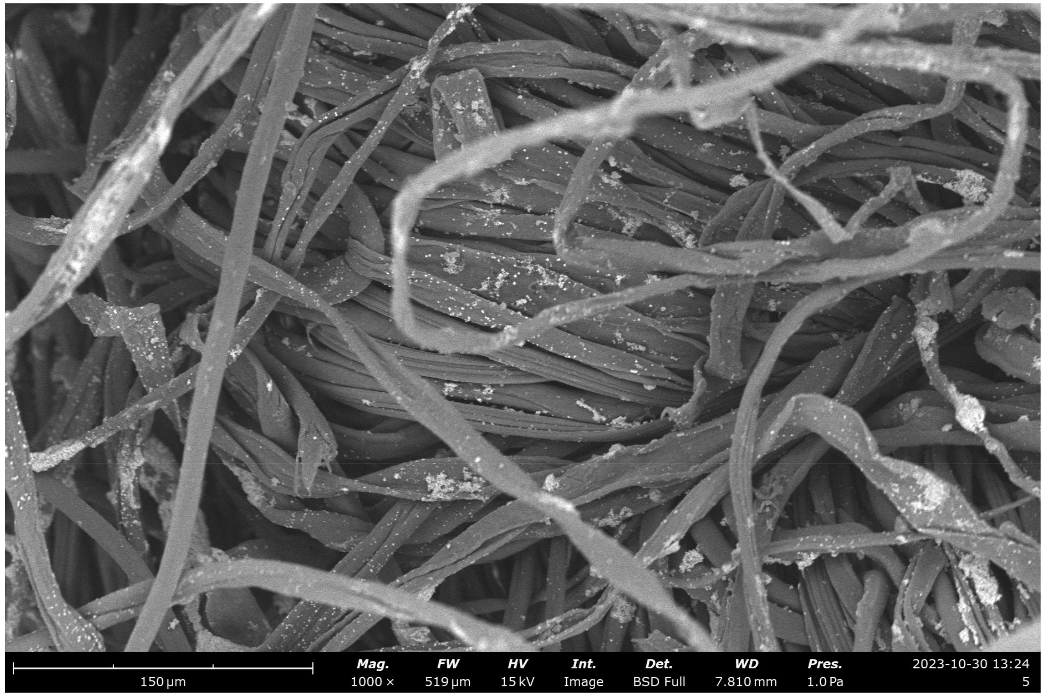 Marinedrugs 23 00071 g011