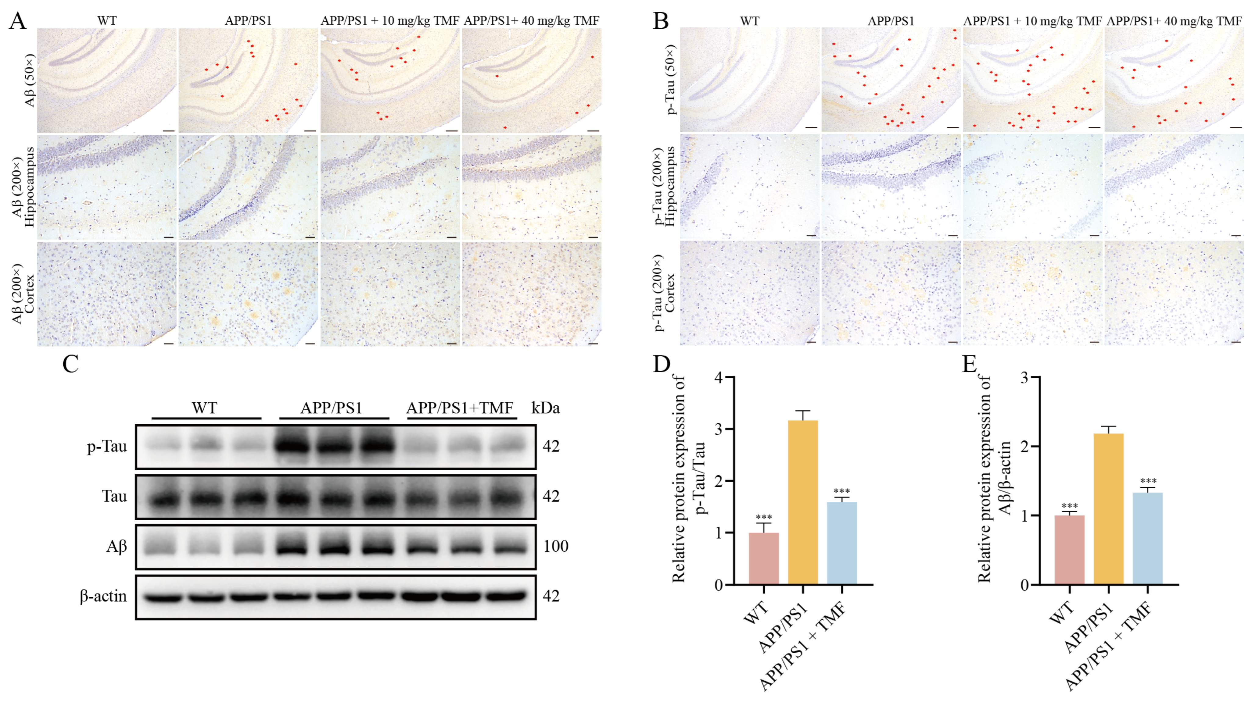 Marinedrugs 23 00074 g002
