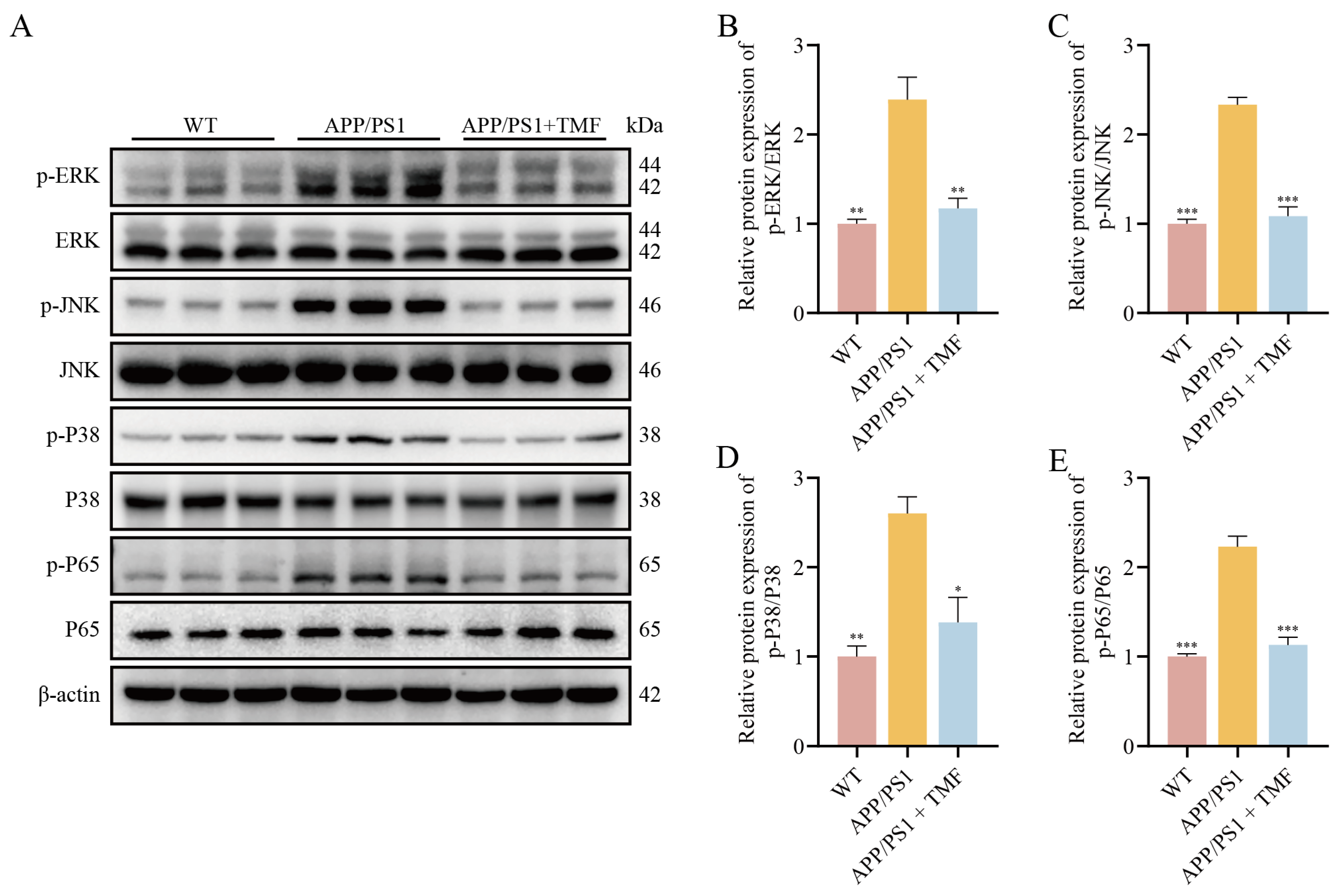 Marinedrugs 23 00074 g006