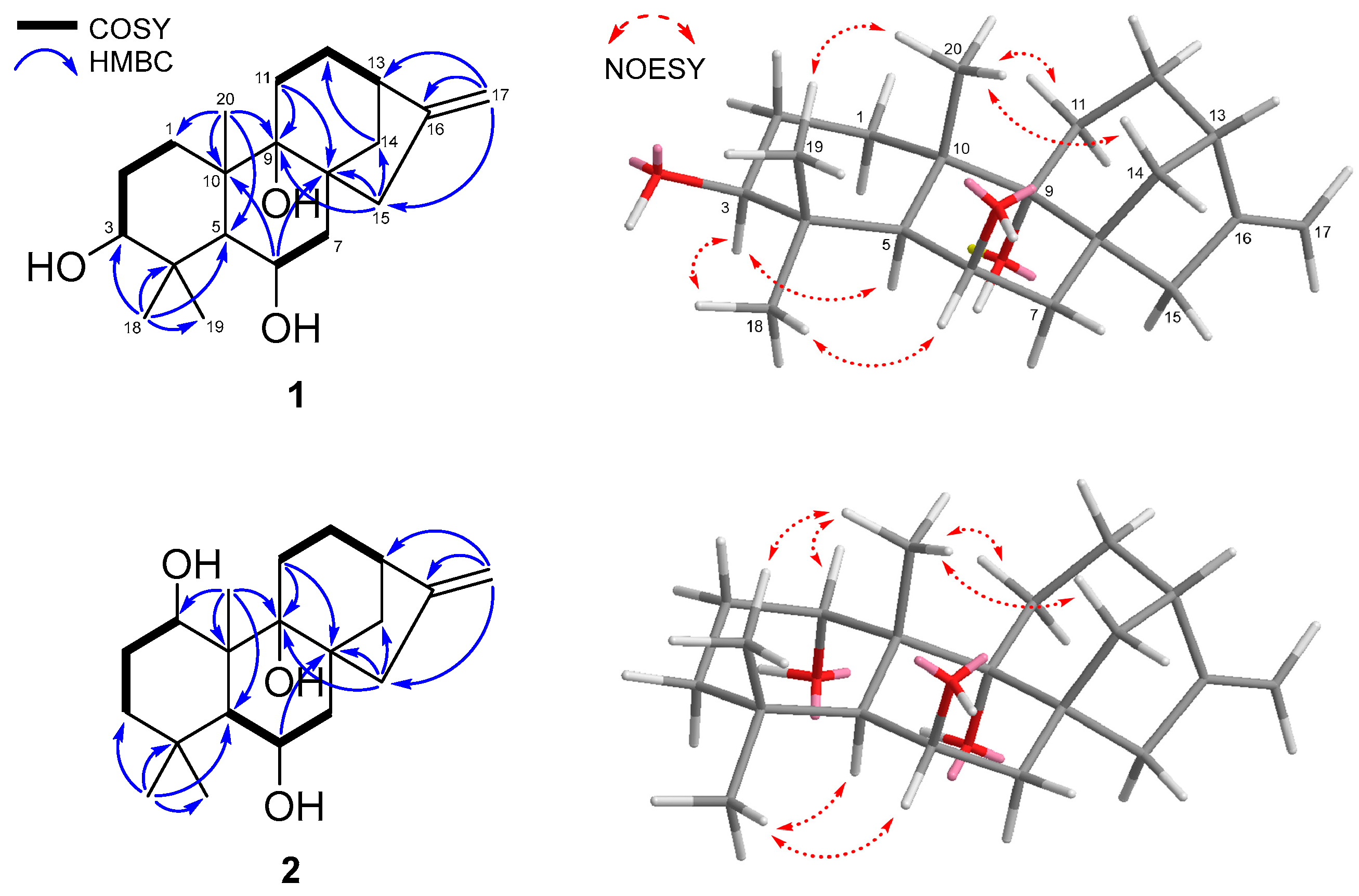Marinedrugs 23 00078 g002