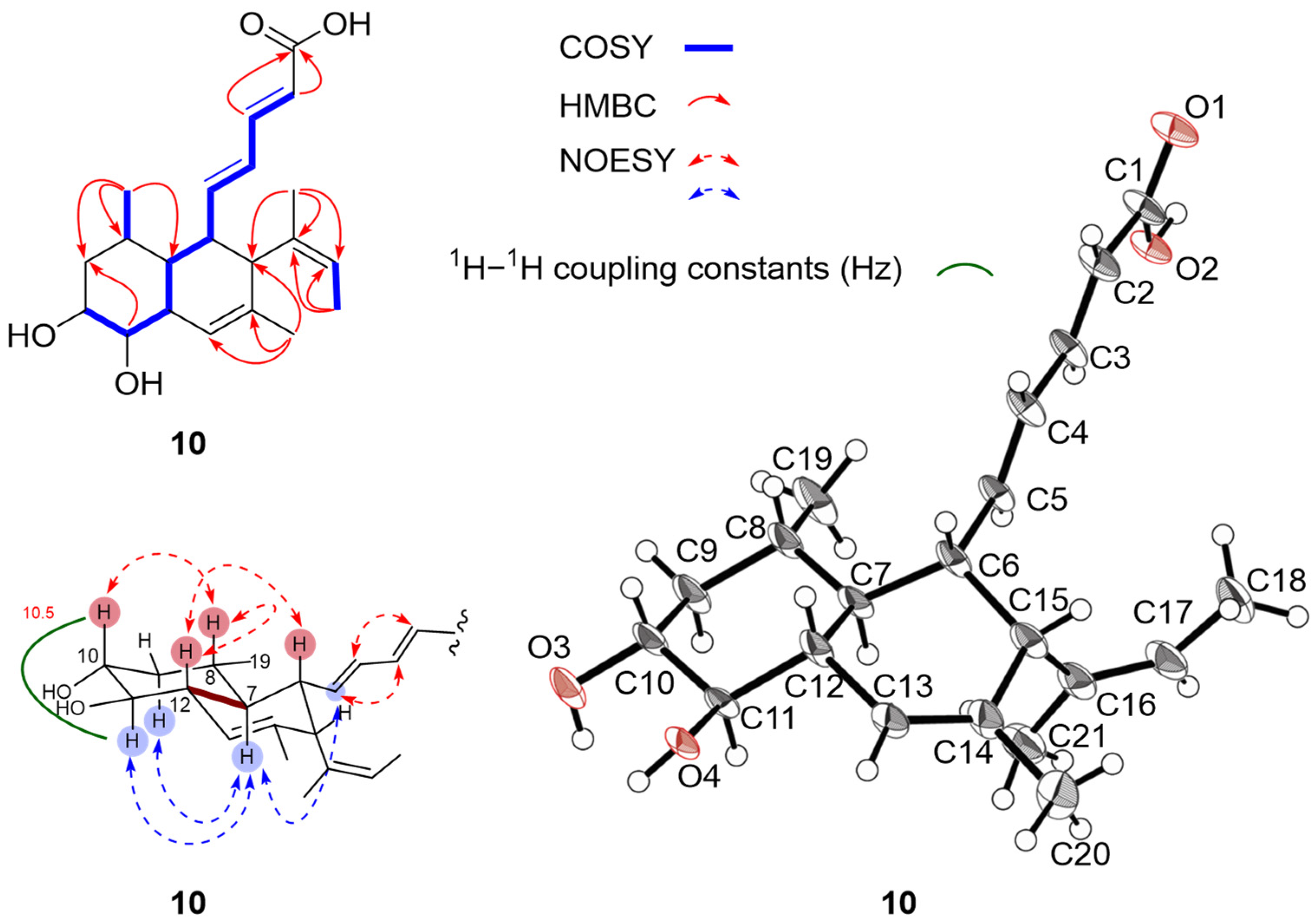 Marinedrugs 23 00088 g005