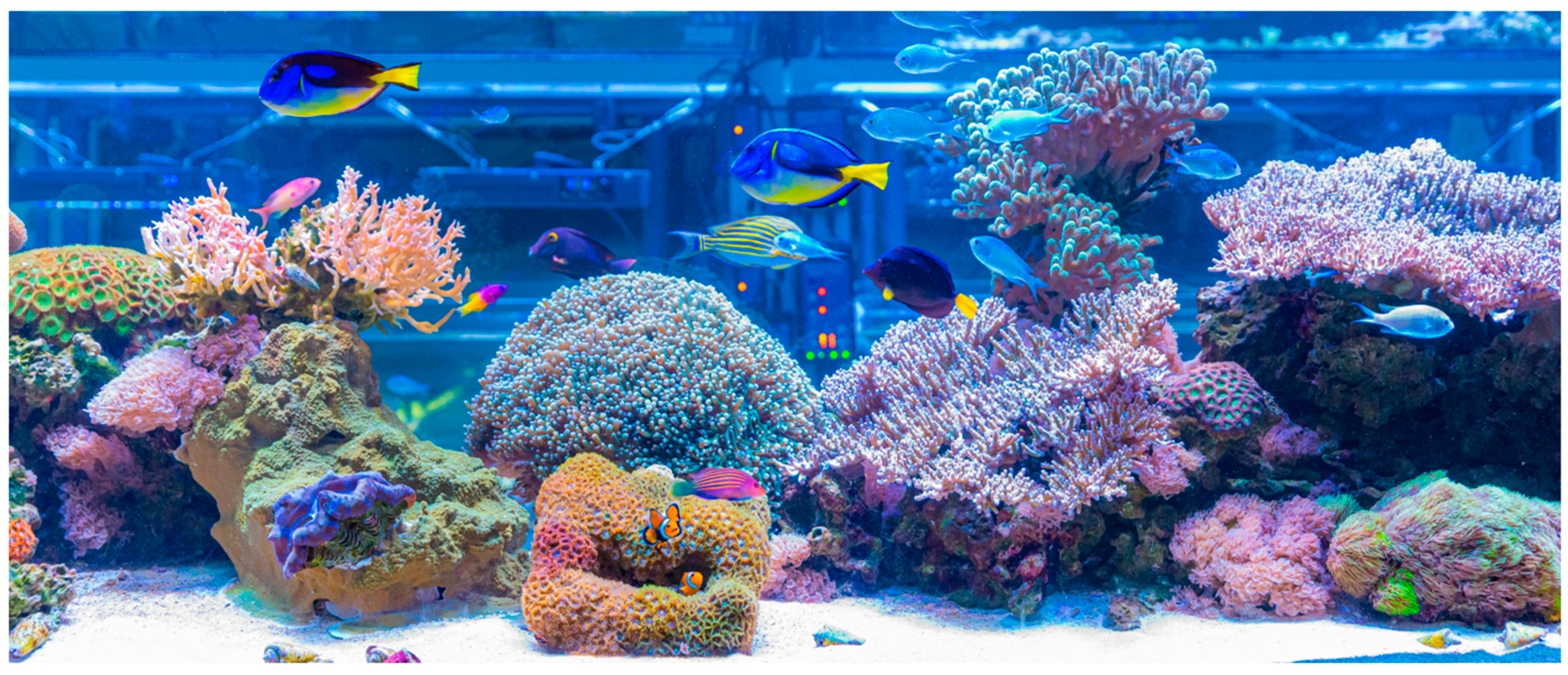 Marinedrugs 23 00089 g002