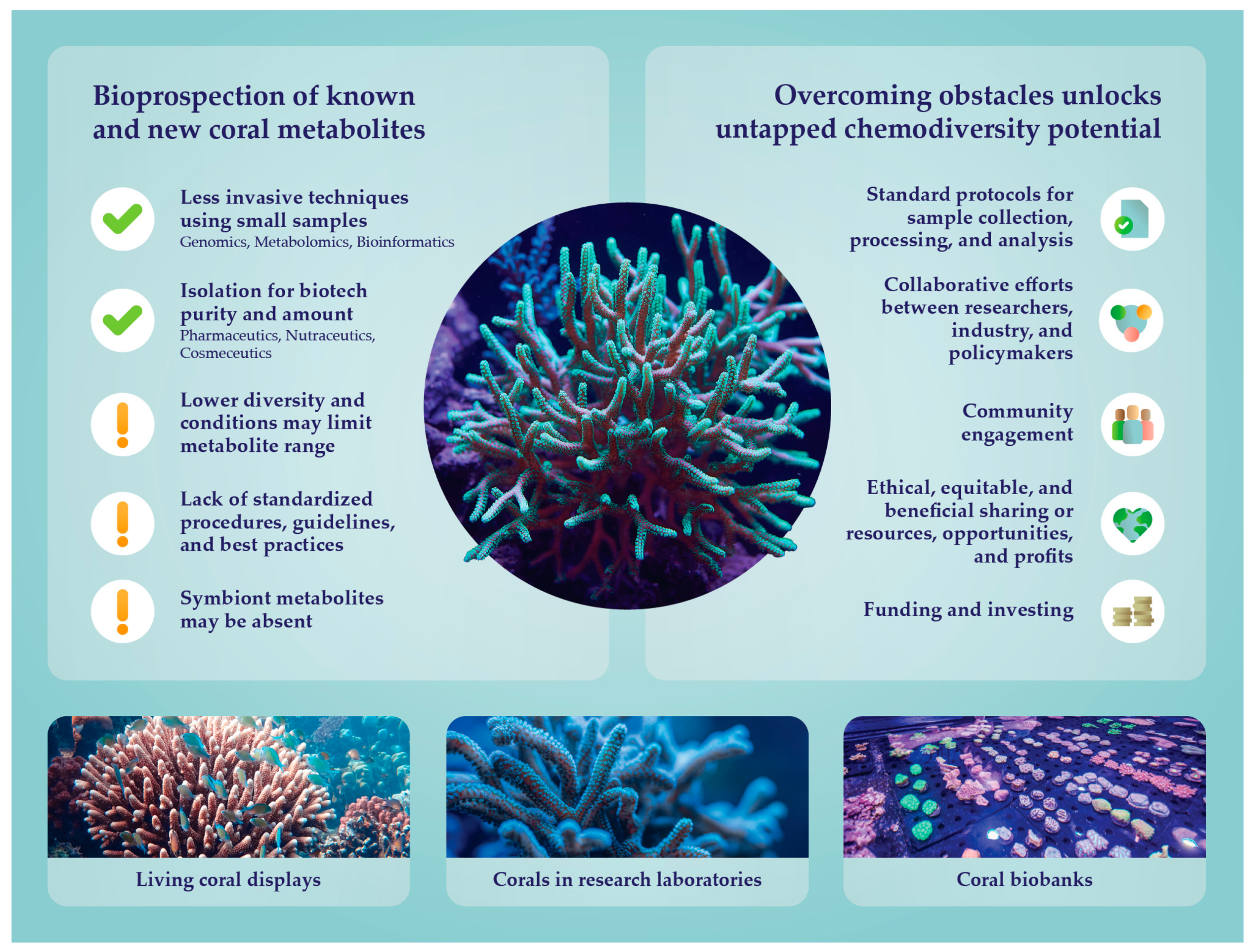 Marinedrugs 23 00089 g004