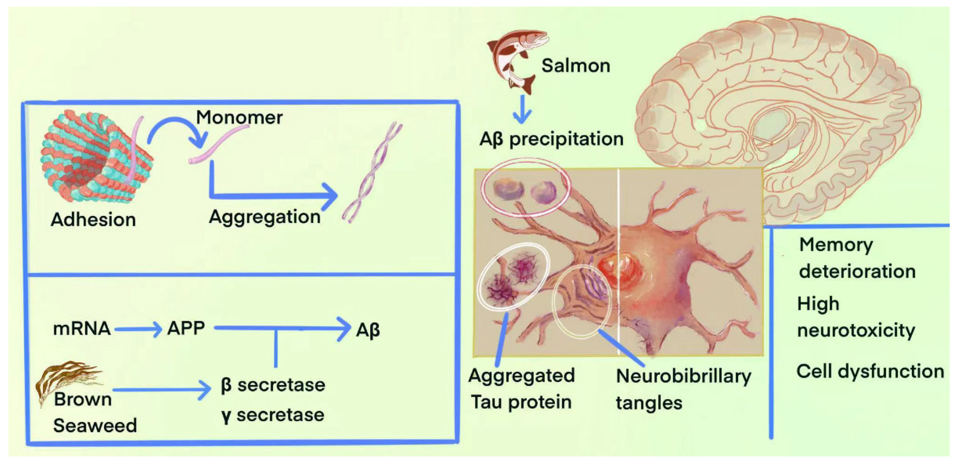 Marinedrugs 23 00091 g001