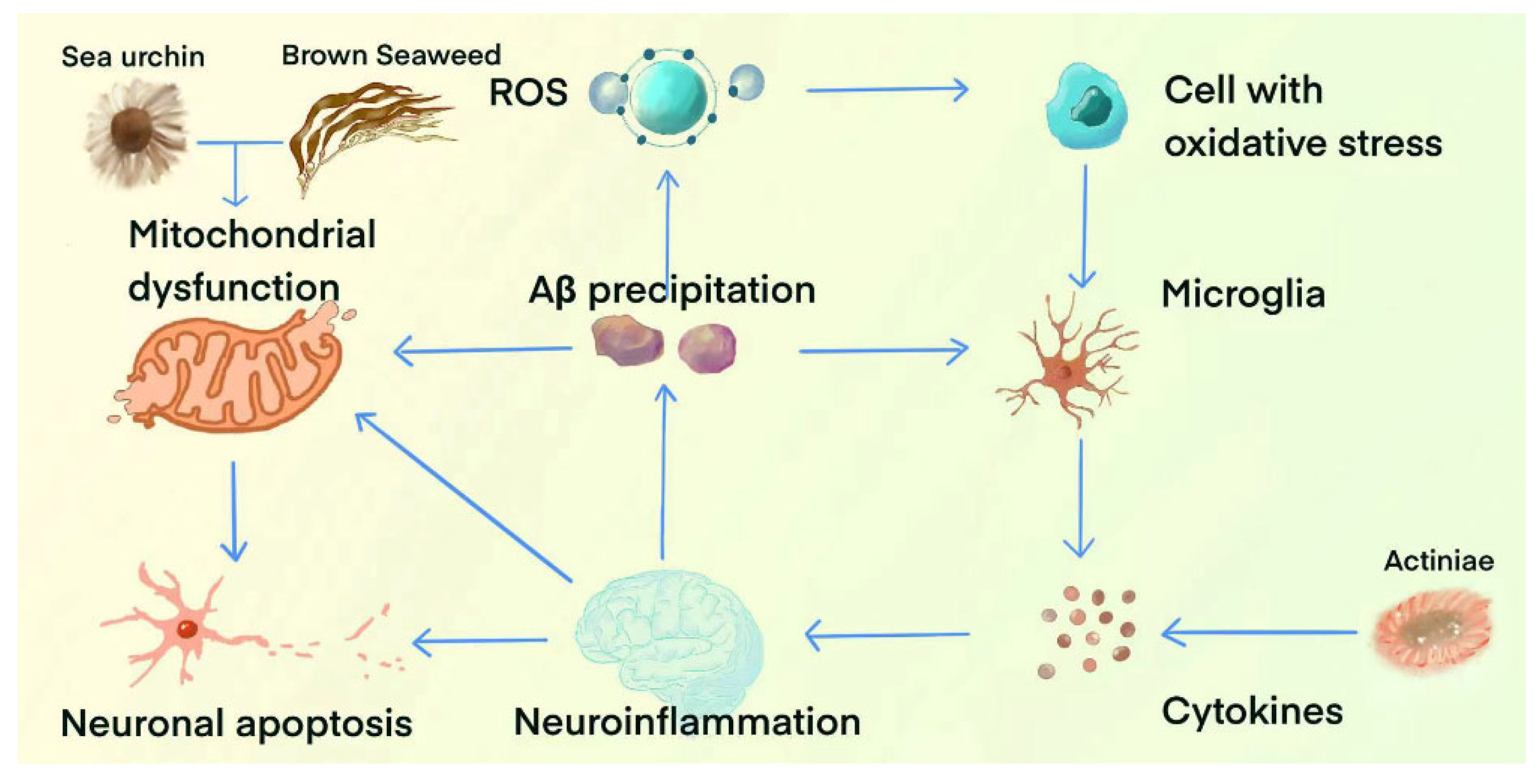 Marinedrugs 23 00091 g003
