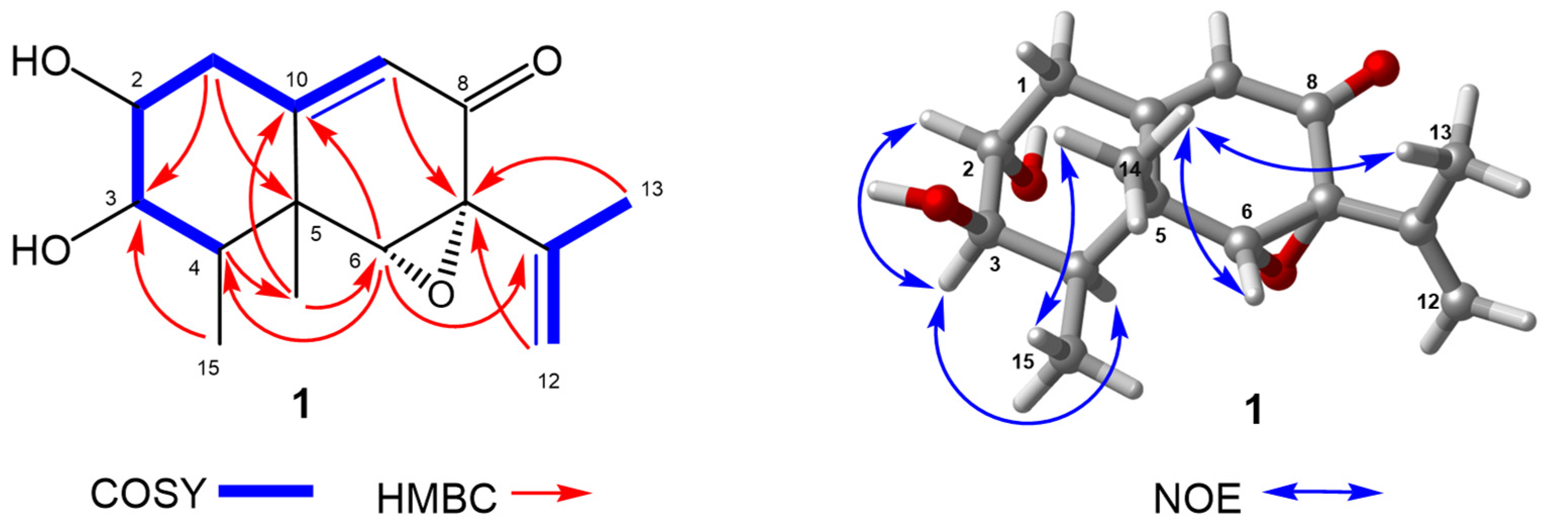 Marinedrugs 23 00094 g002 Marinedrugs 23 00094 g002