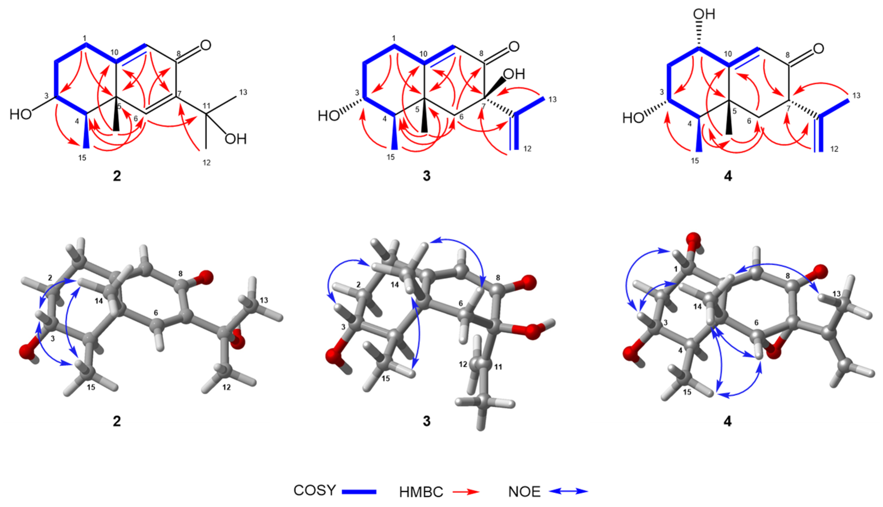 Marinedrugs 23 00094 g004 Marinedrugs 23 00094 g004