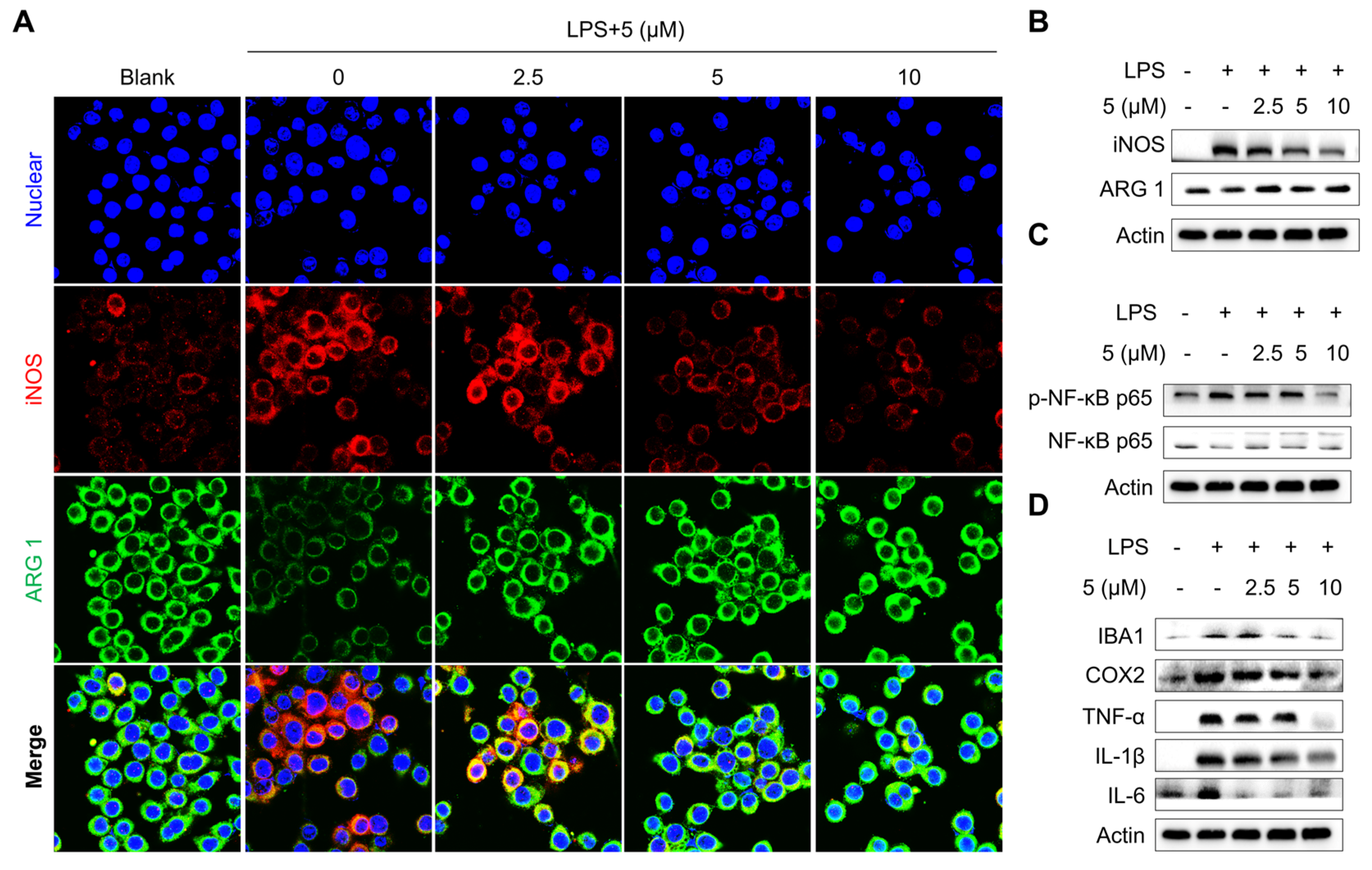 Marinedrugs 23 00094 g006 Marinedrugs 23 00094 g006