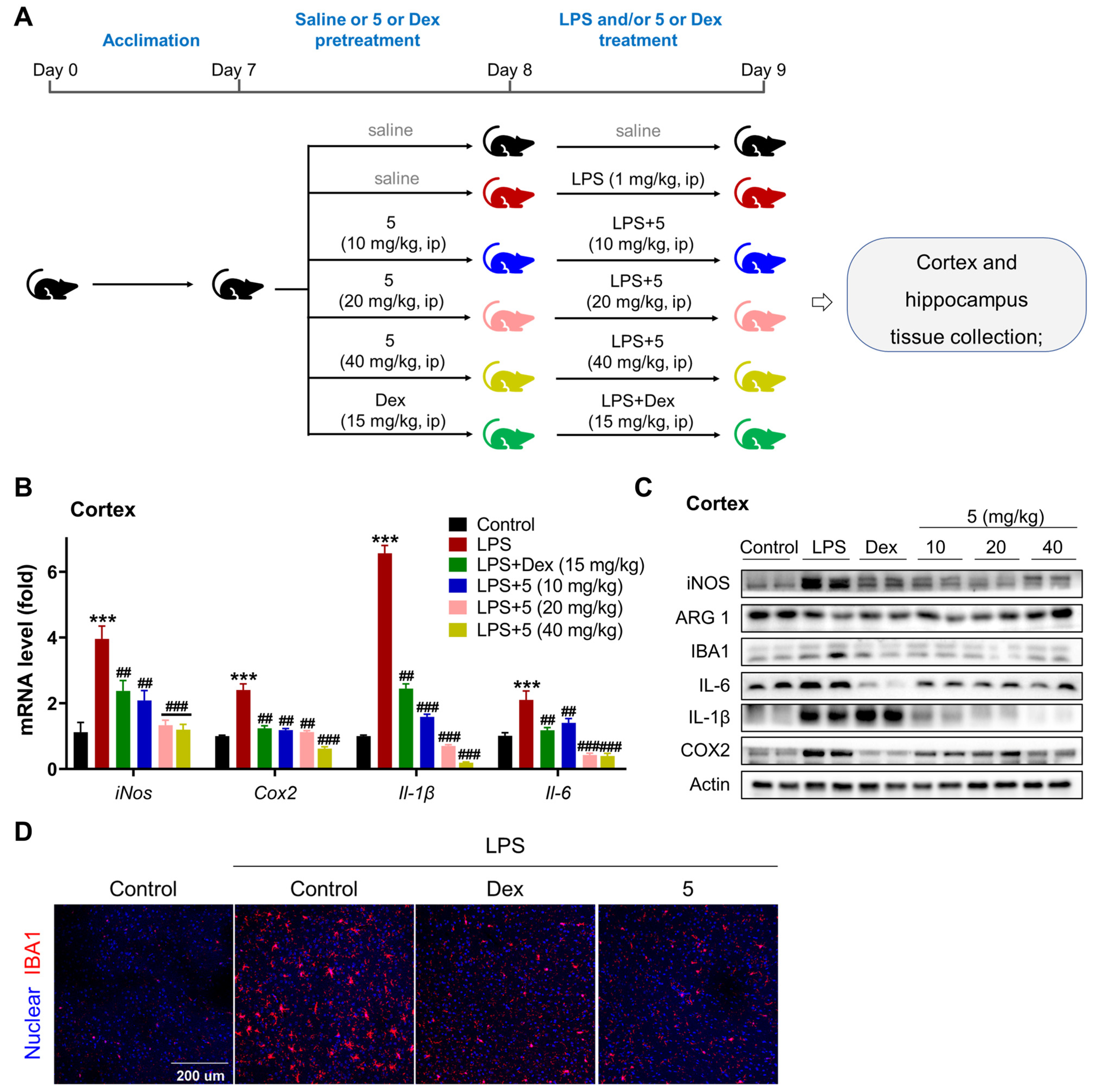 Marinedrugs 23 00094 g007 Marinedrugs 23 00094 g007