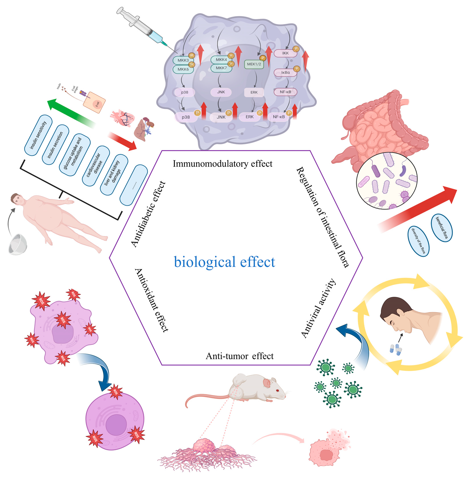 Marinedrugs 23 00098 g005 Marinedrugs 23 00098 g005