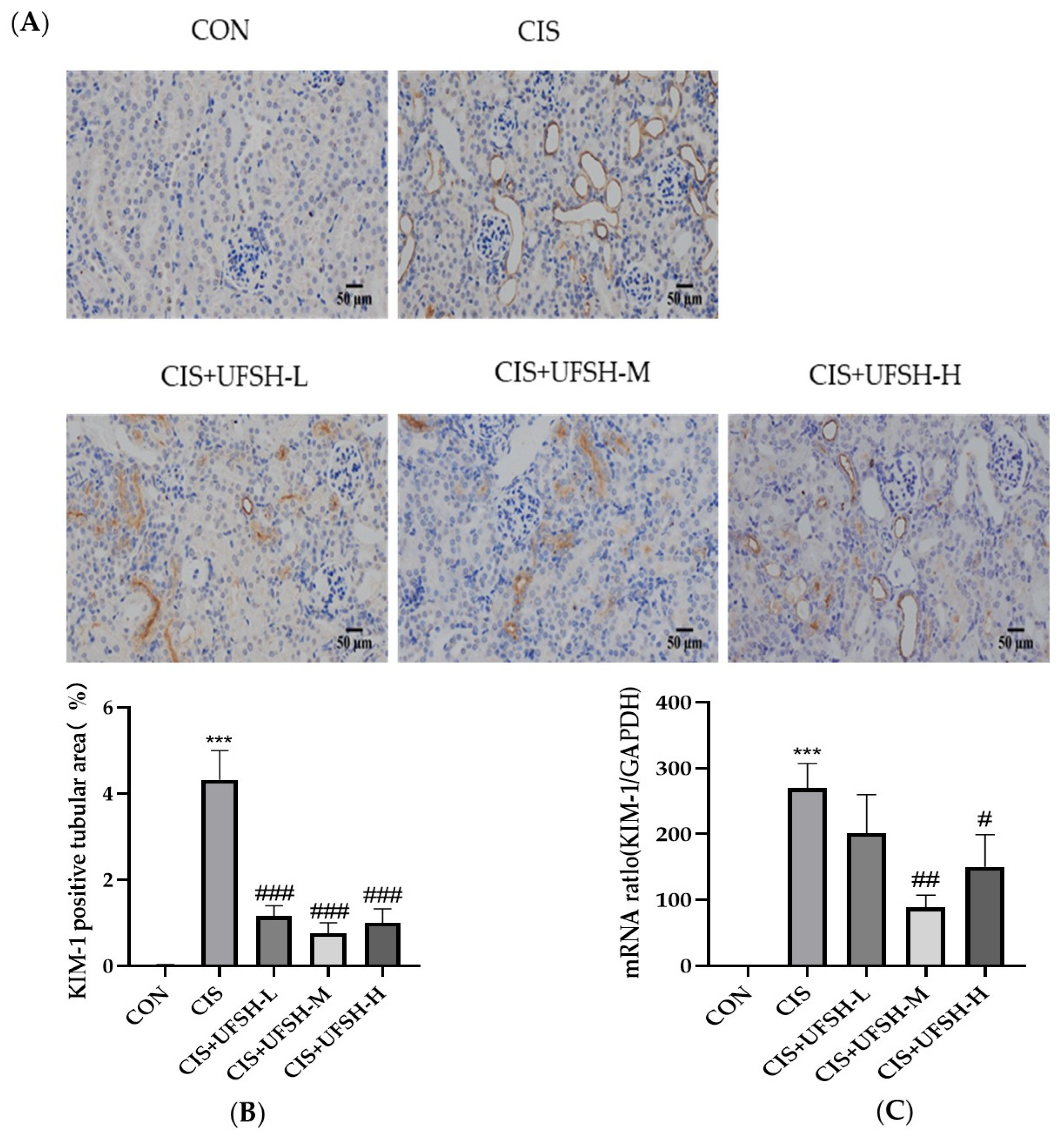 Marinedrugs 23 00100 g006