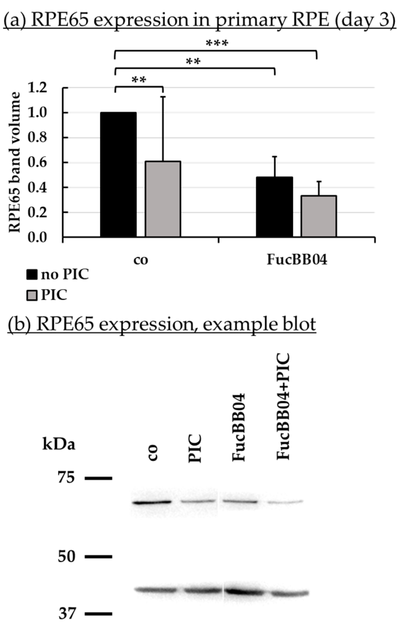 Marinedrugs 23 00101 g008