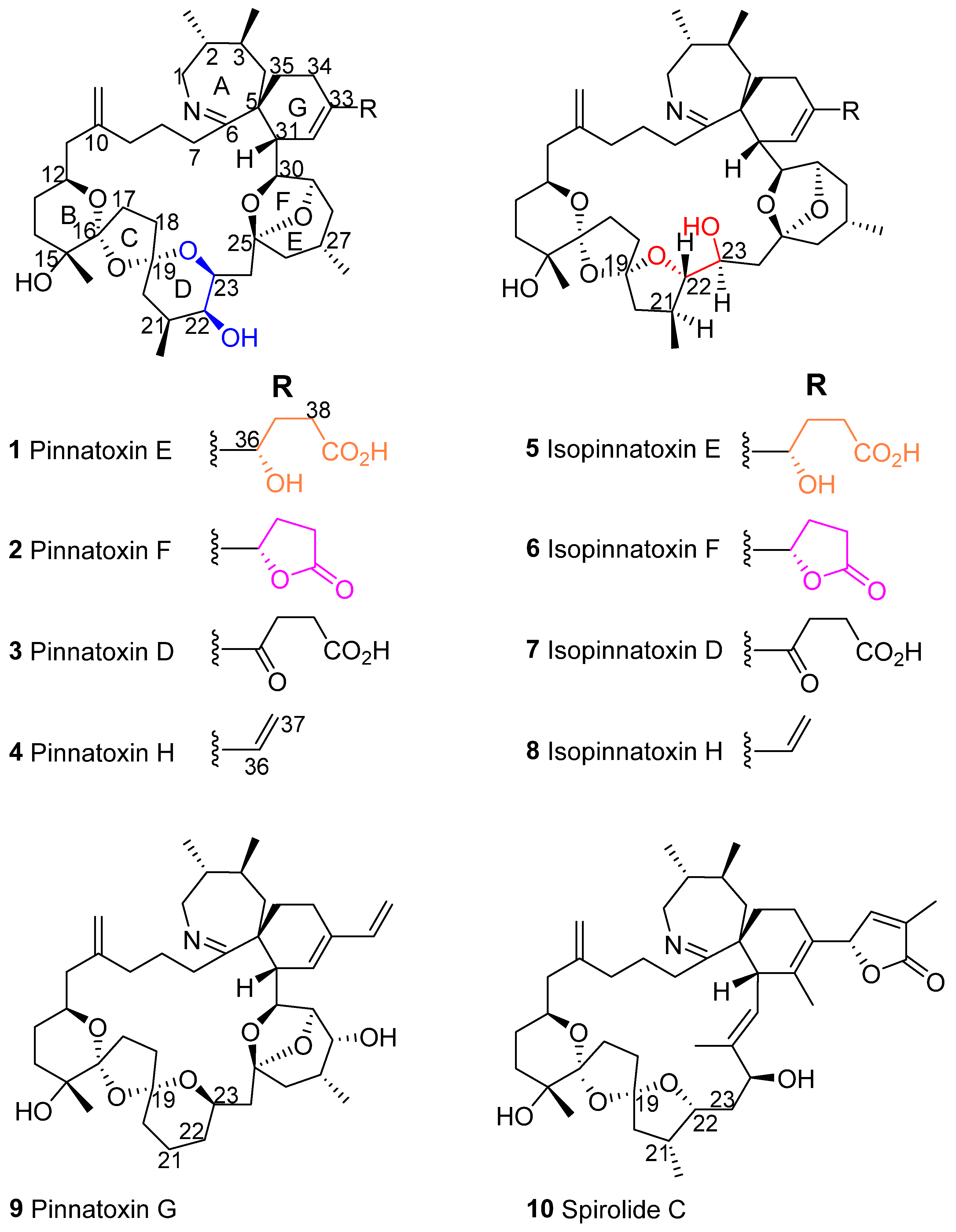Marinedrugs 23 00103 g001