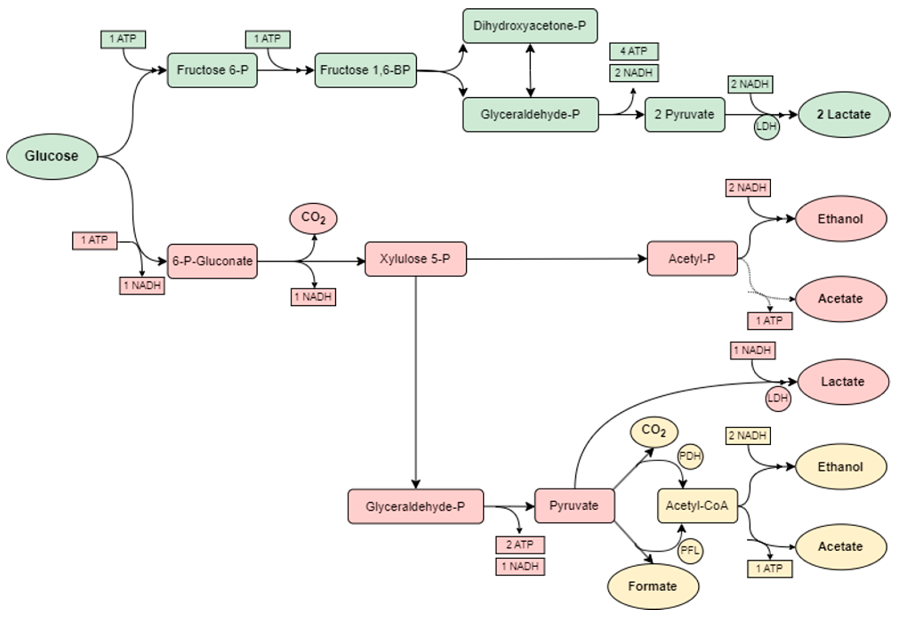 Marinedrugs 23 00106 g001