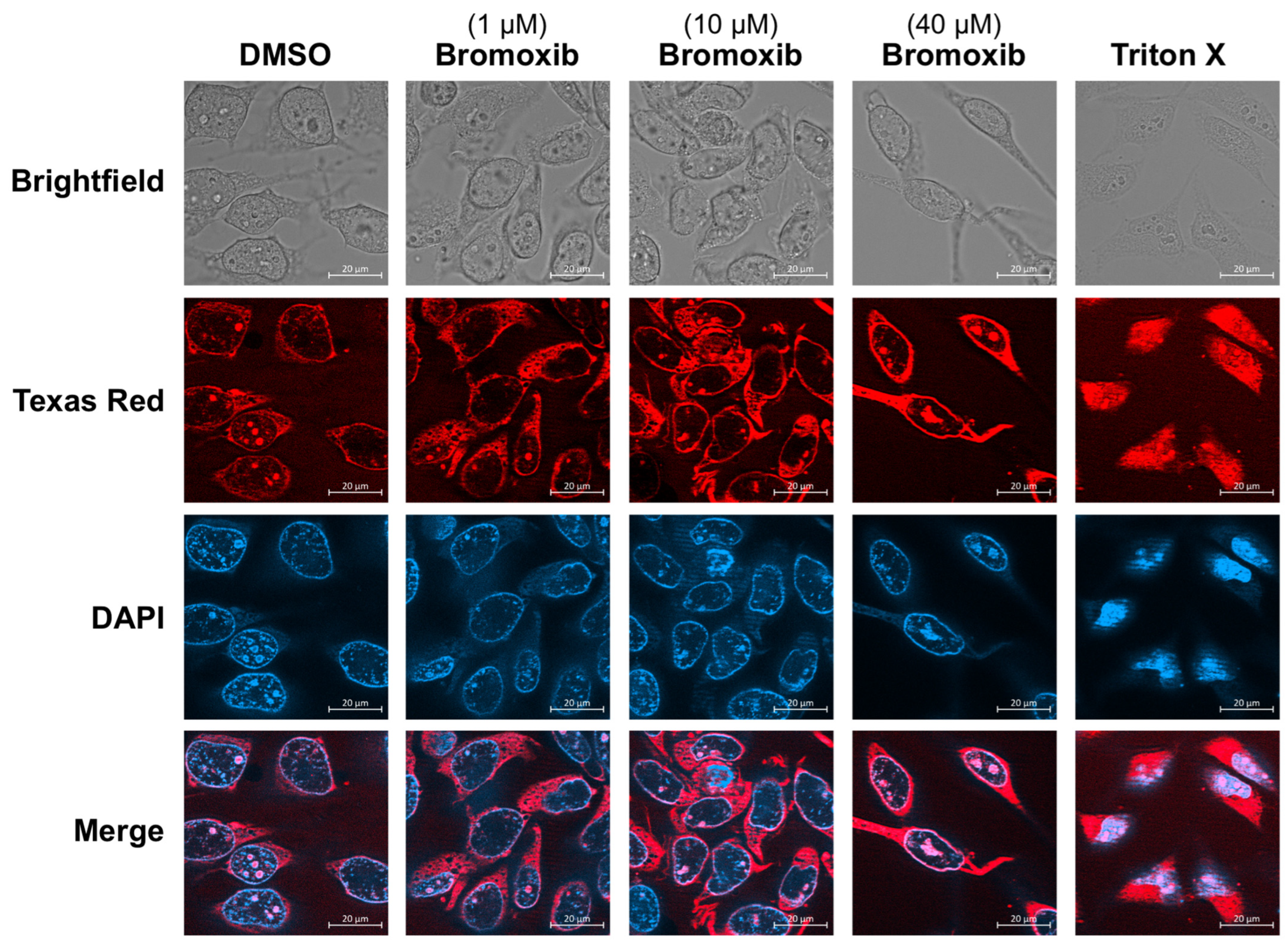 Marinedrugs 23 00108 g003