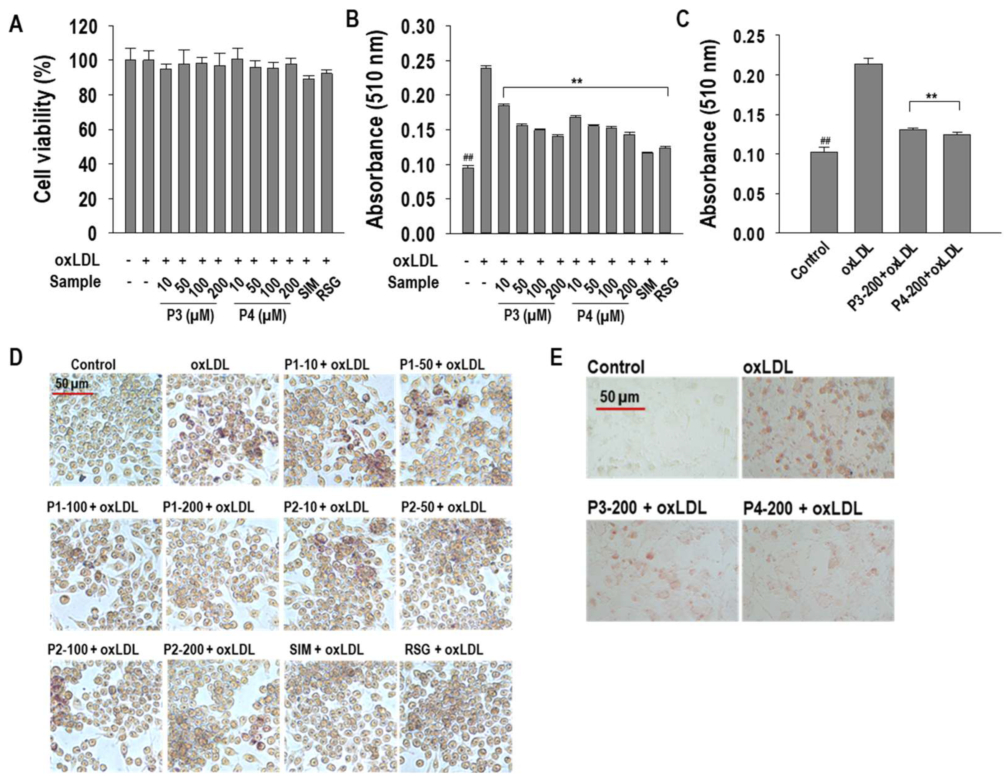Marinedrugs 23 00111 g002