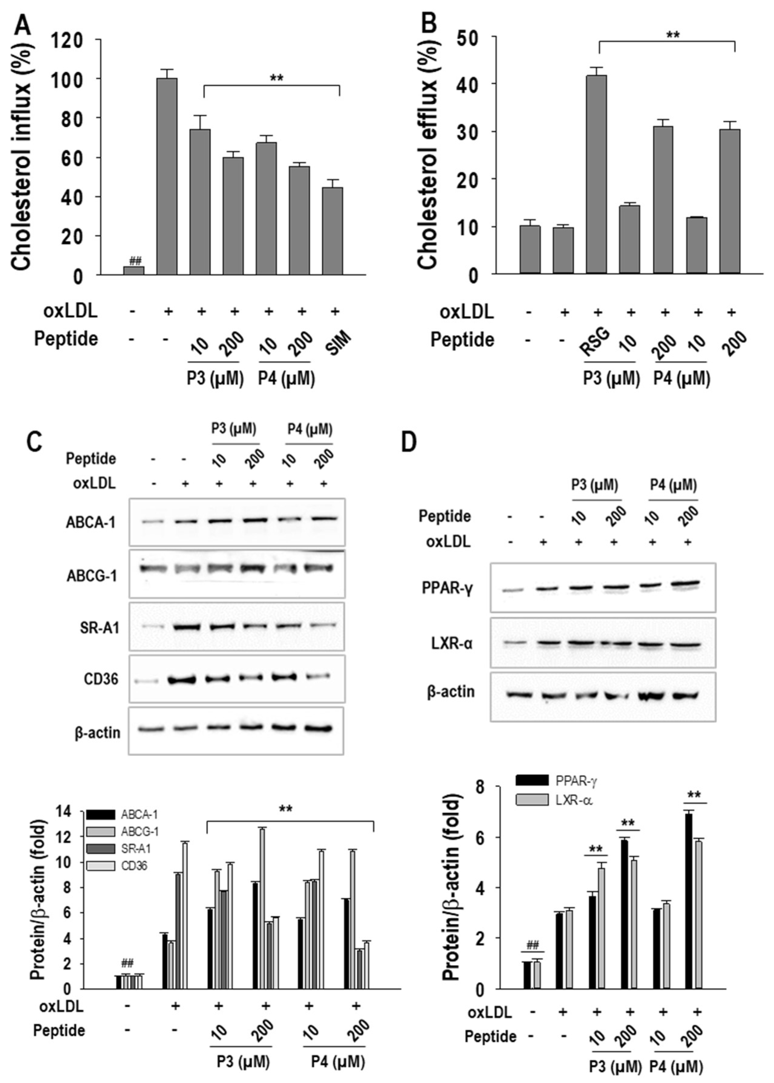 Marinedrugs 23 00111 g004