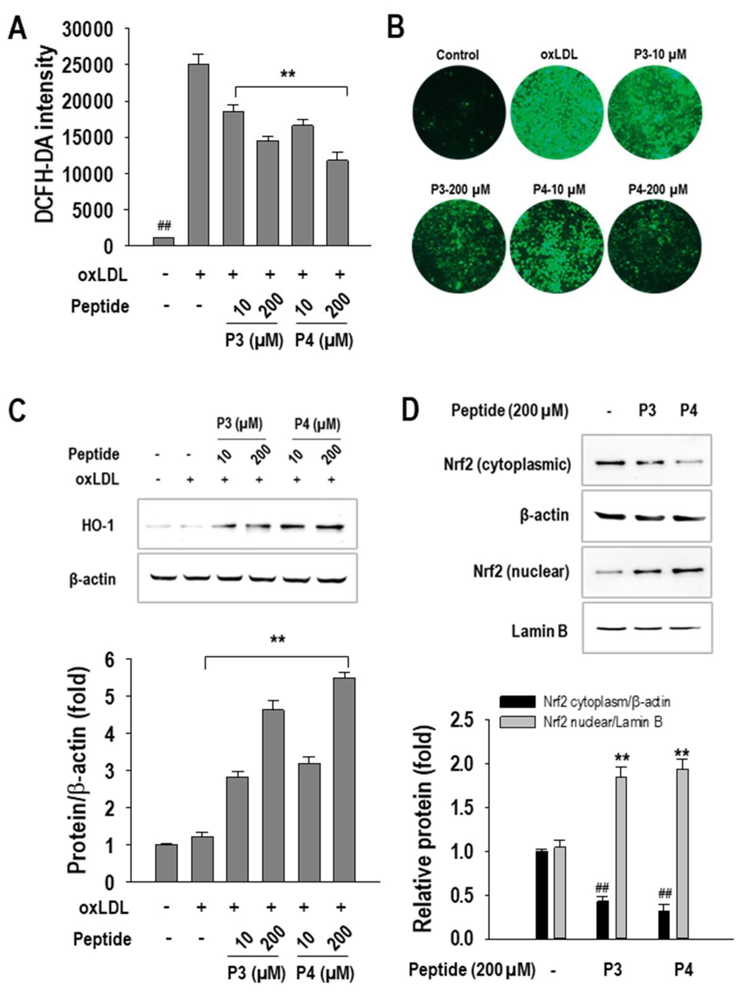 Marinedrugs 23 00111 g005