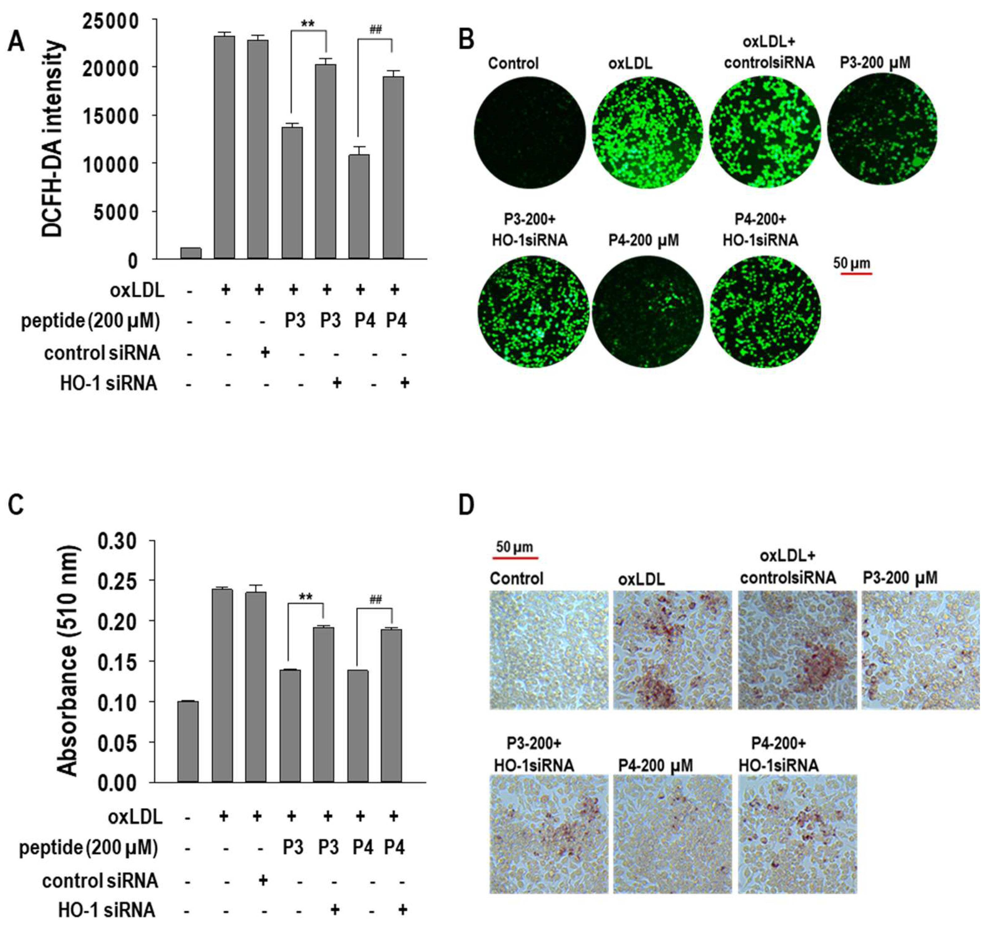 Marinedrugs 23 00111 g007