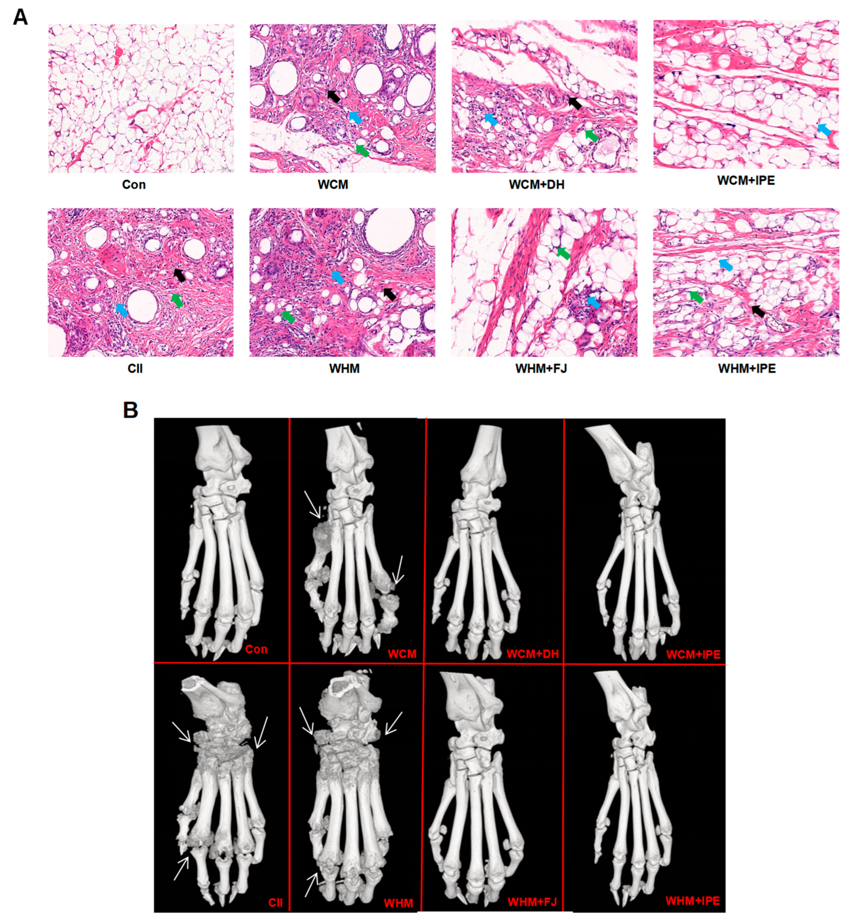 Marinedrugs 23 00114 g002