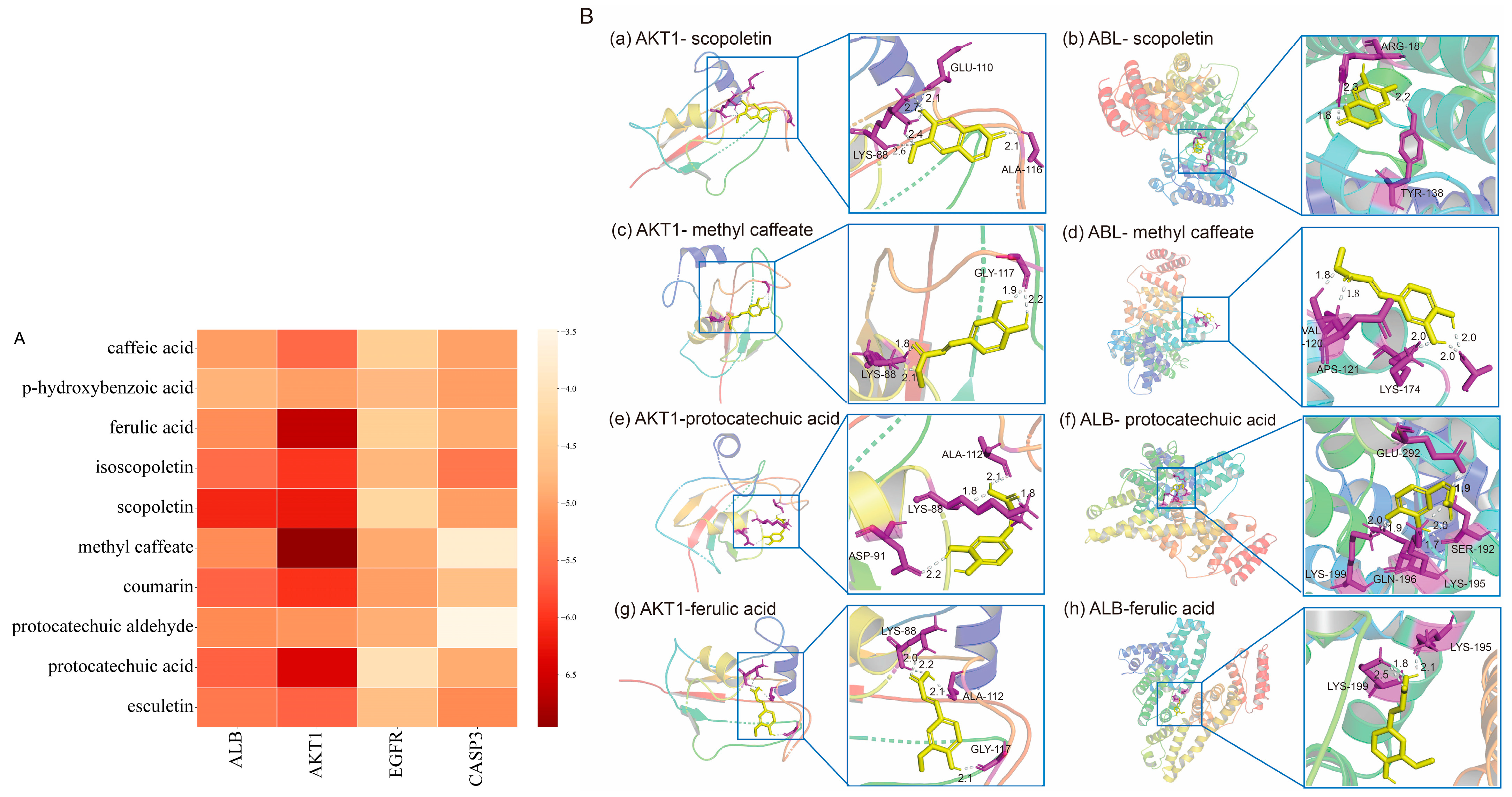 Marinedrugs 23 00114 g010