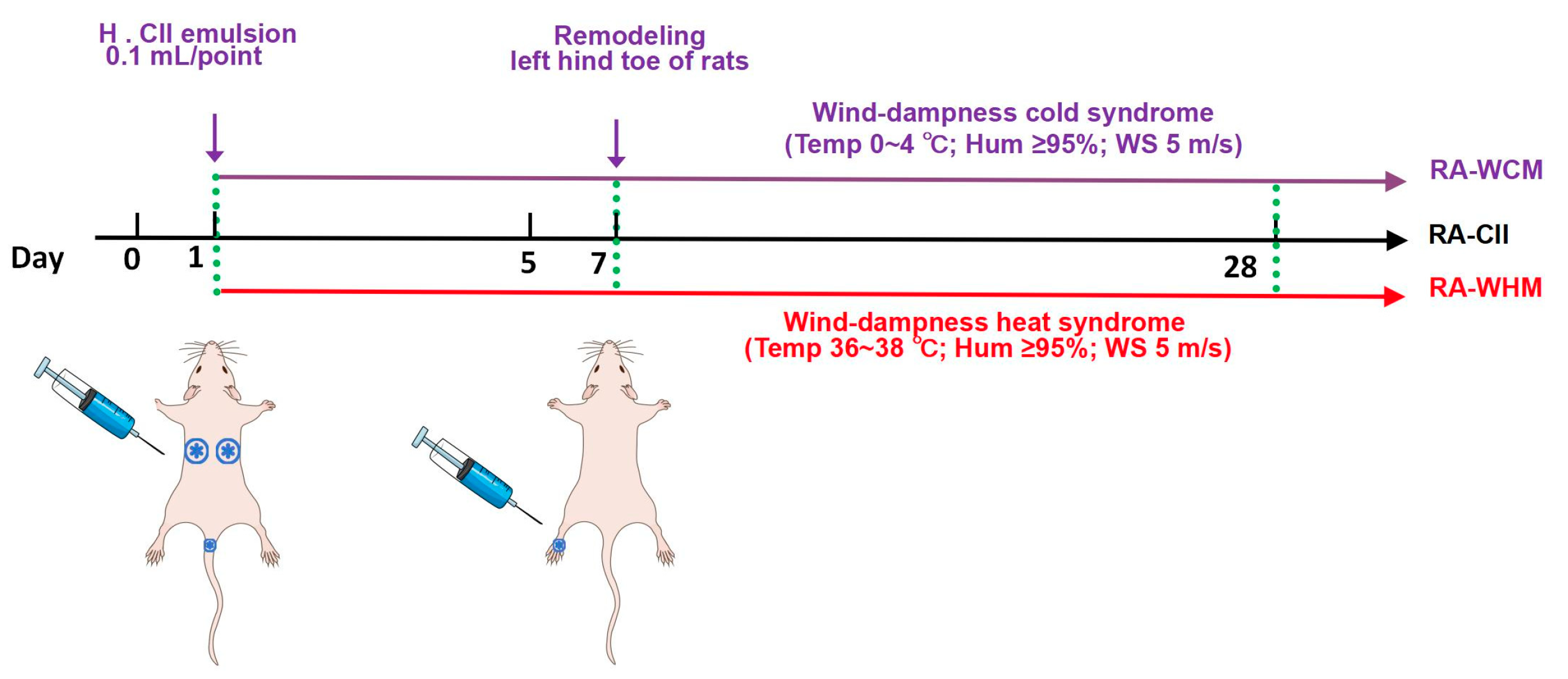 Marinedrugs 23 00114 g012