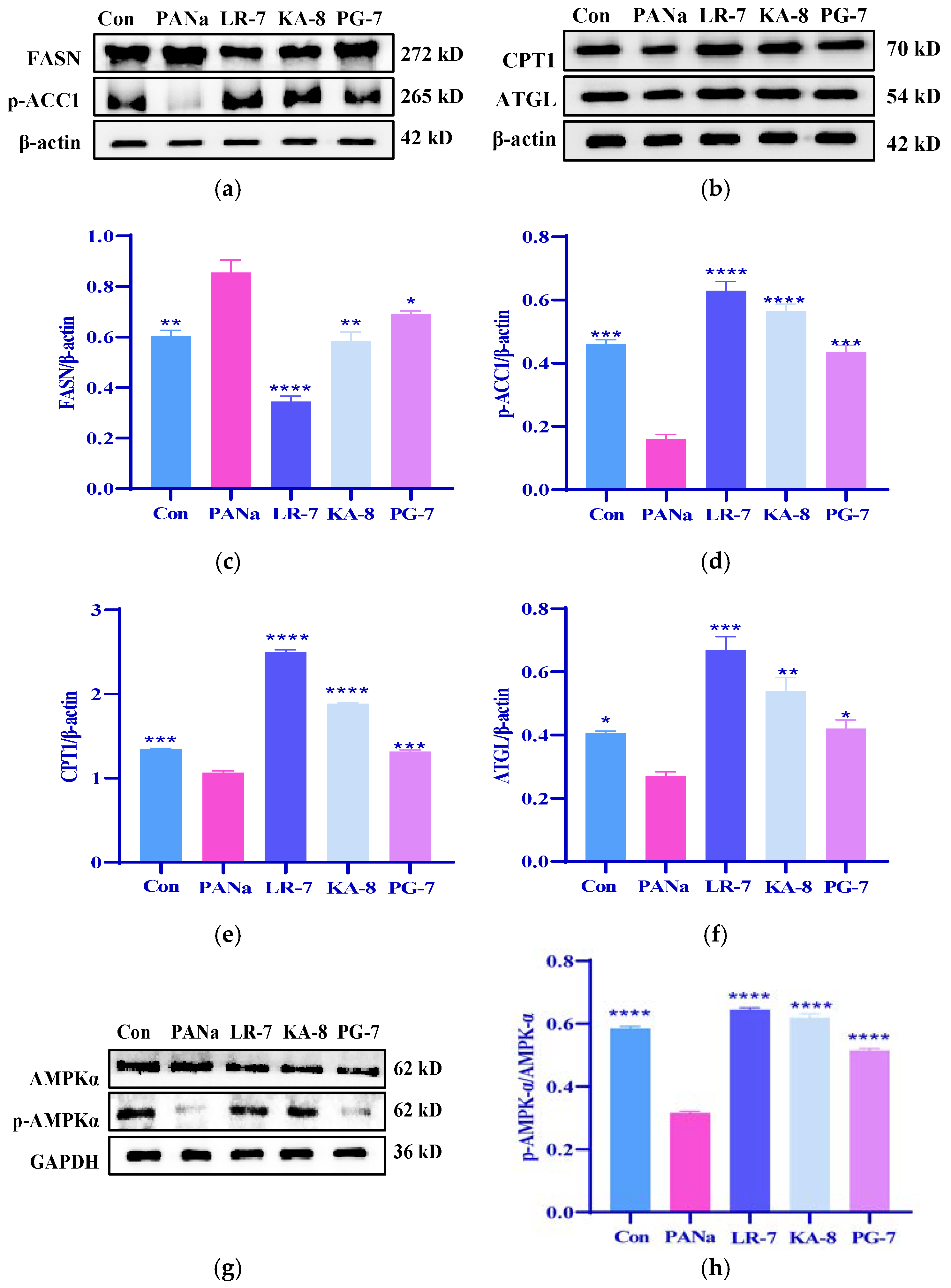 Marinedrugs 23 00118 g004