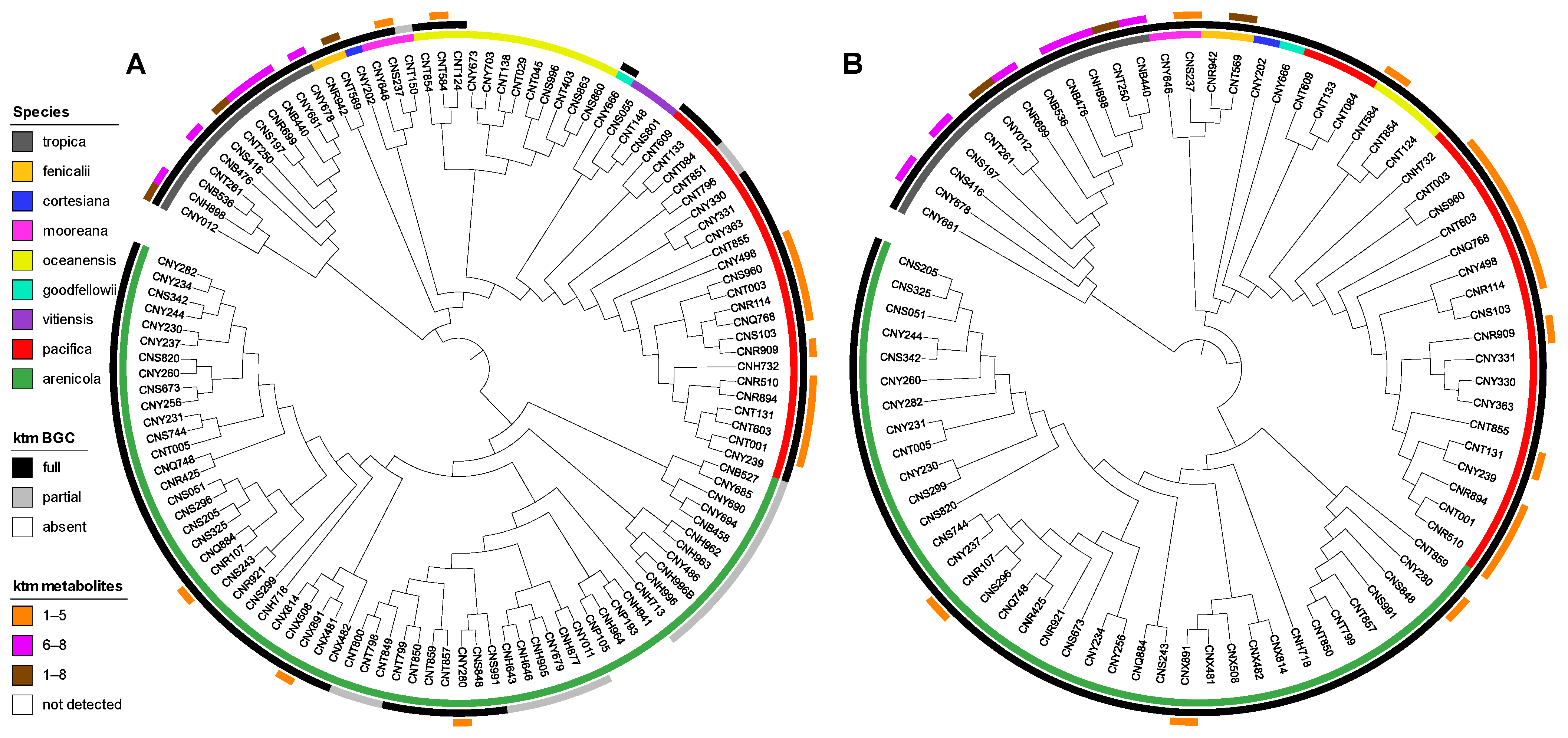 Marinedrugs 23 00126 g004