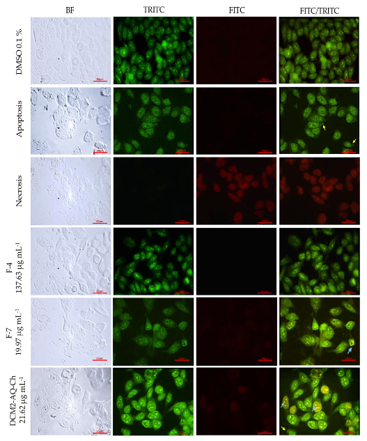 Marinedrugs 23 00127 g004