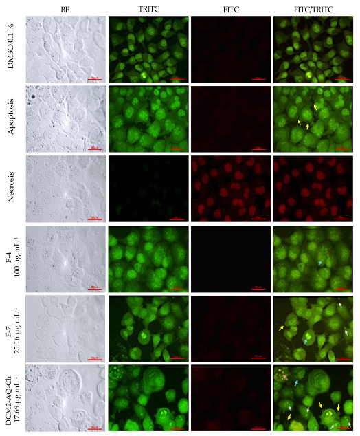 Marinedrugs 23 00127 g005