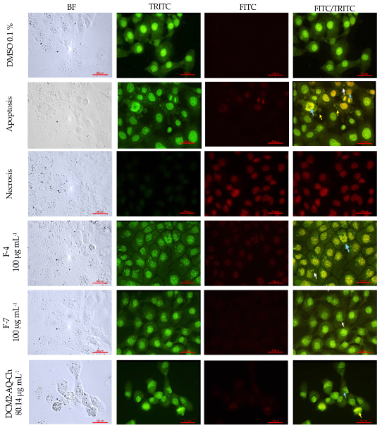 Marinedrugs 23 00127 g006