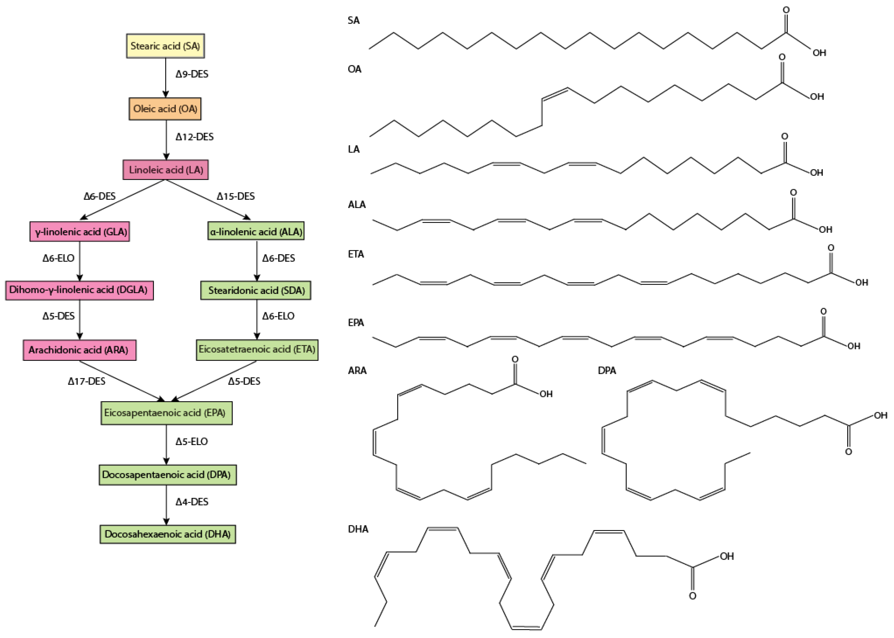 Marinedrugs 23 00128 g002