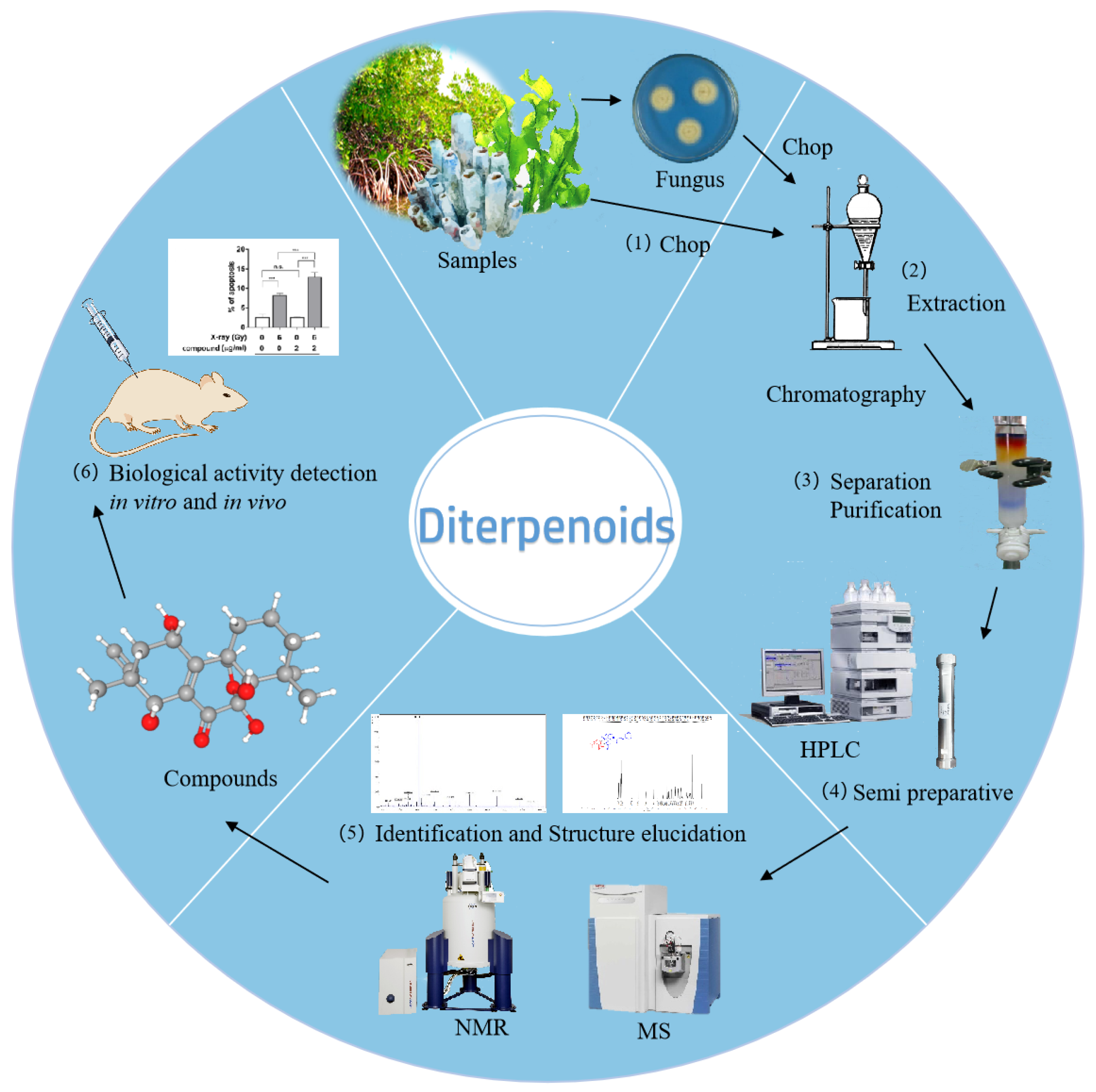 Marinedrugs 23 00131 g002