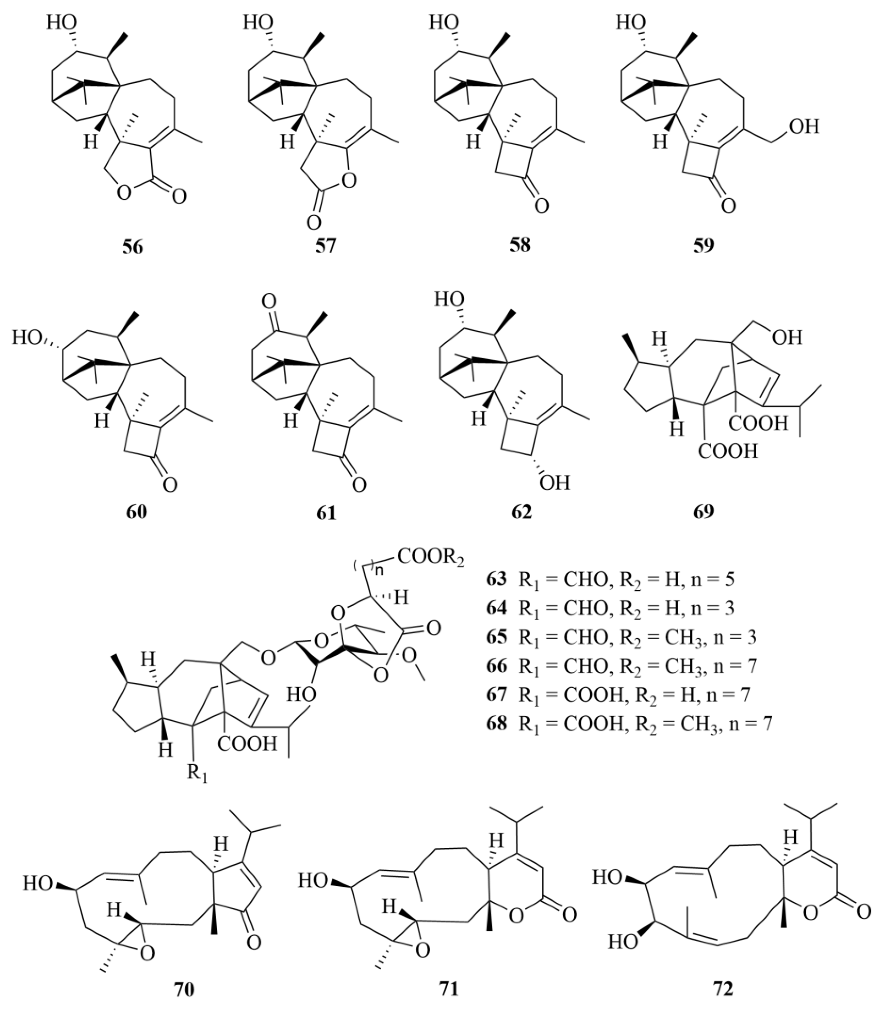 Marinedrugs 23 00131 g009