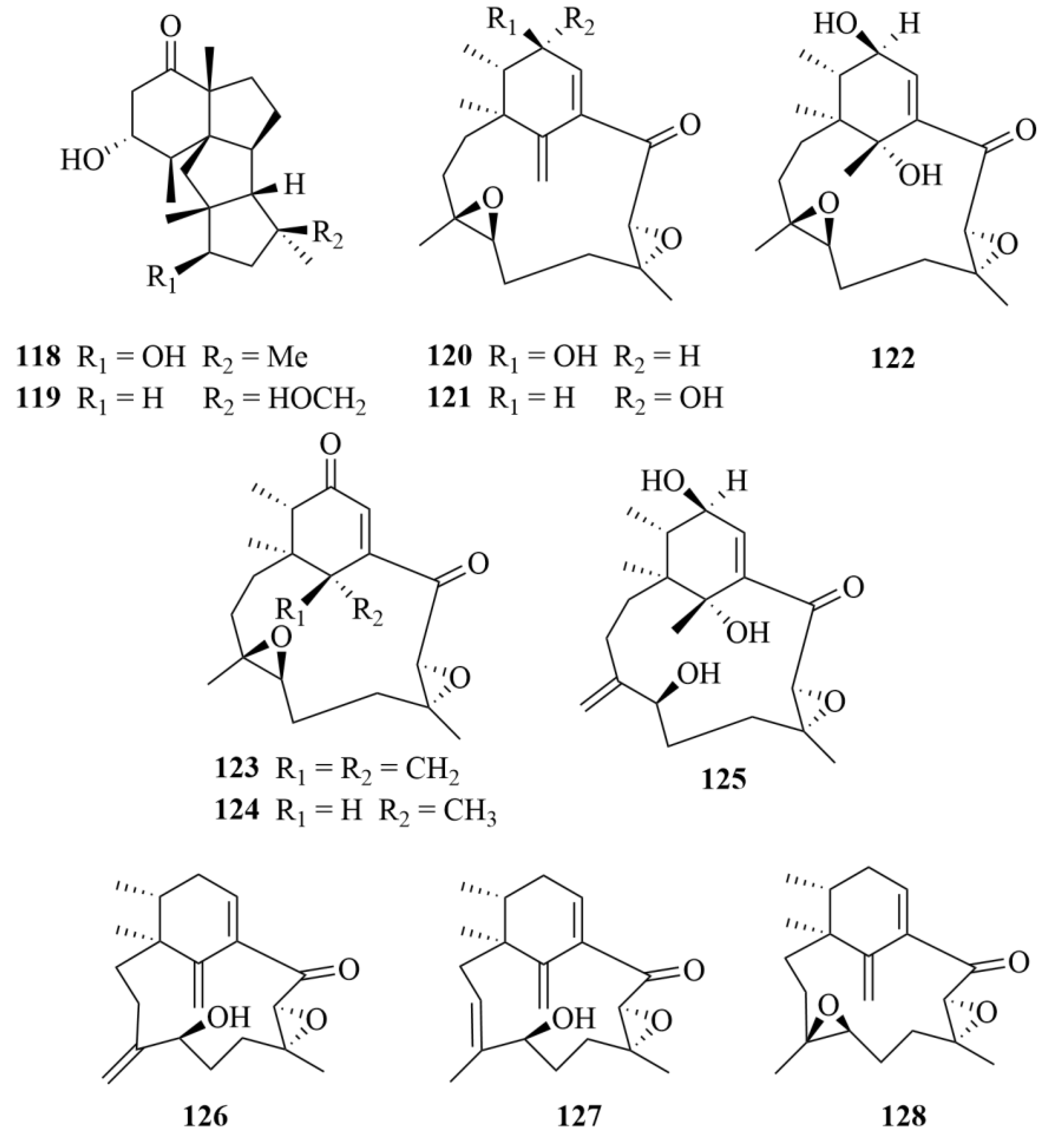 Marinedrugs 23 00131 g016
