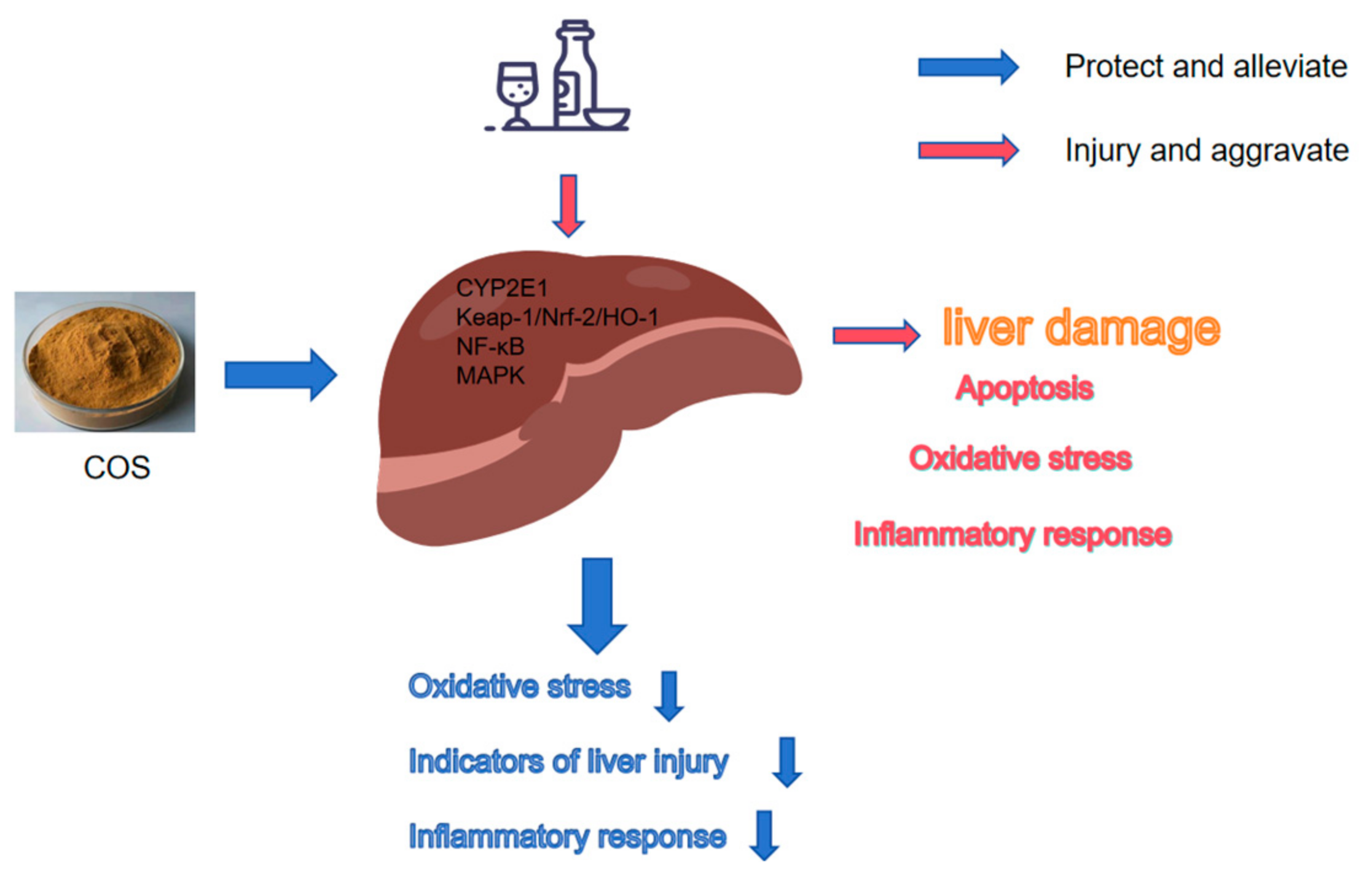 Marinedrugs 23 00134 g001