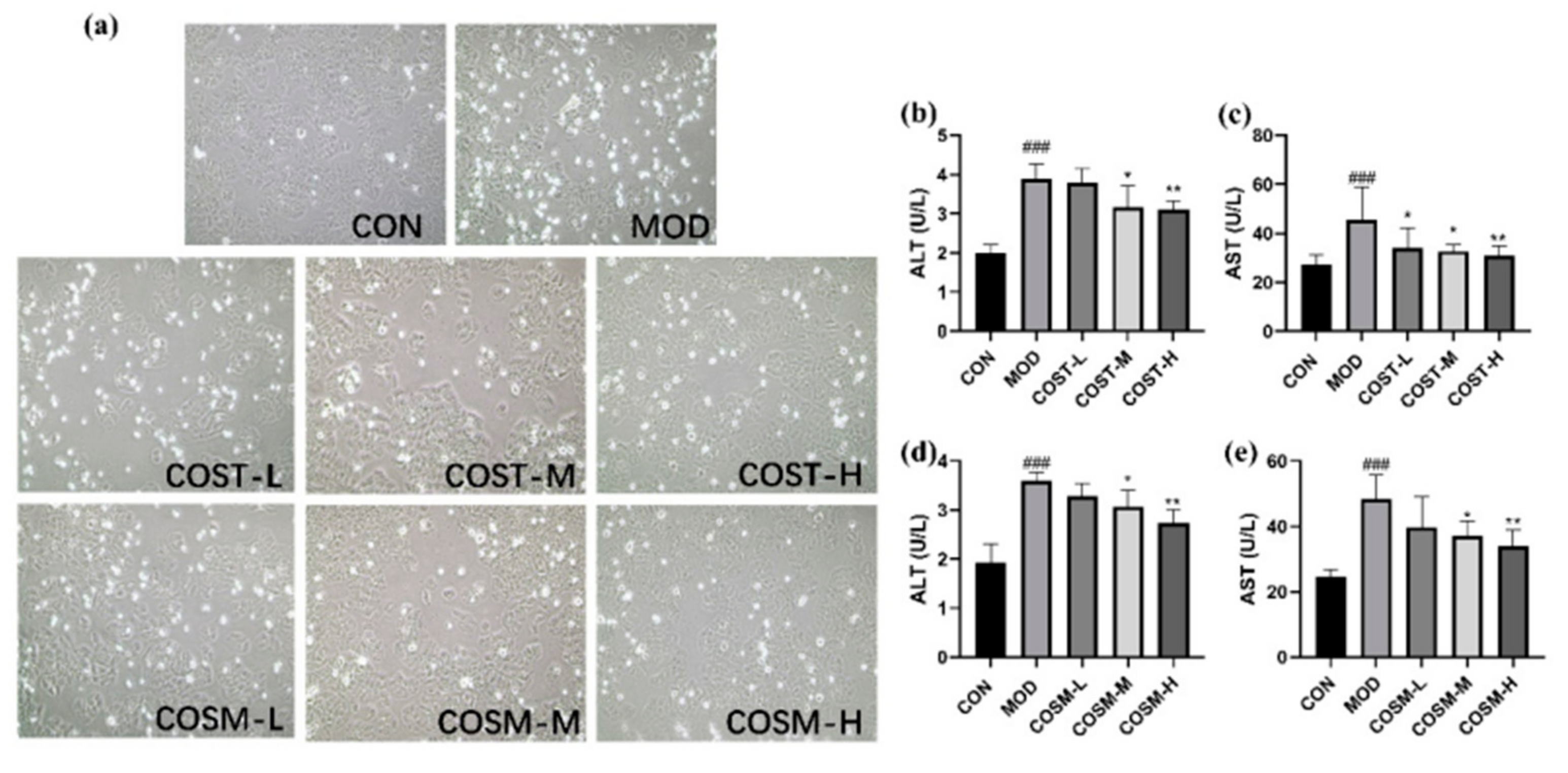 Marinedrugs 23 00134 g002