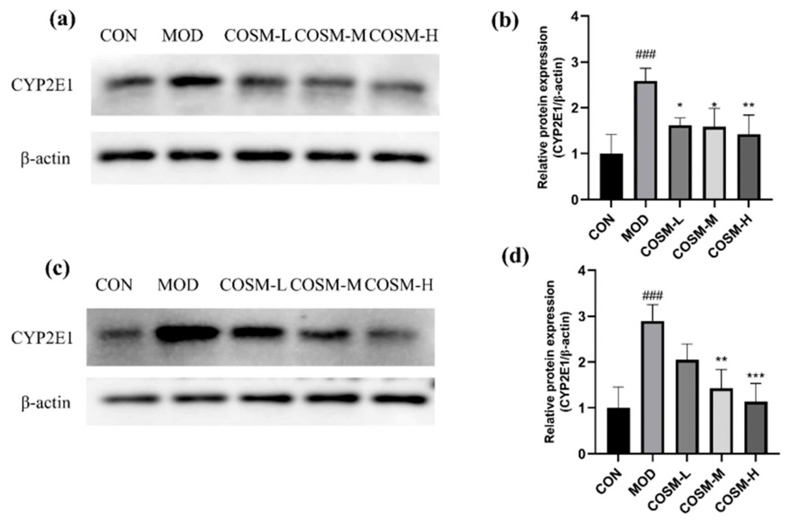 Marinedrugs 23 00134 g009