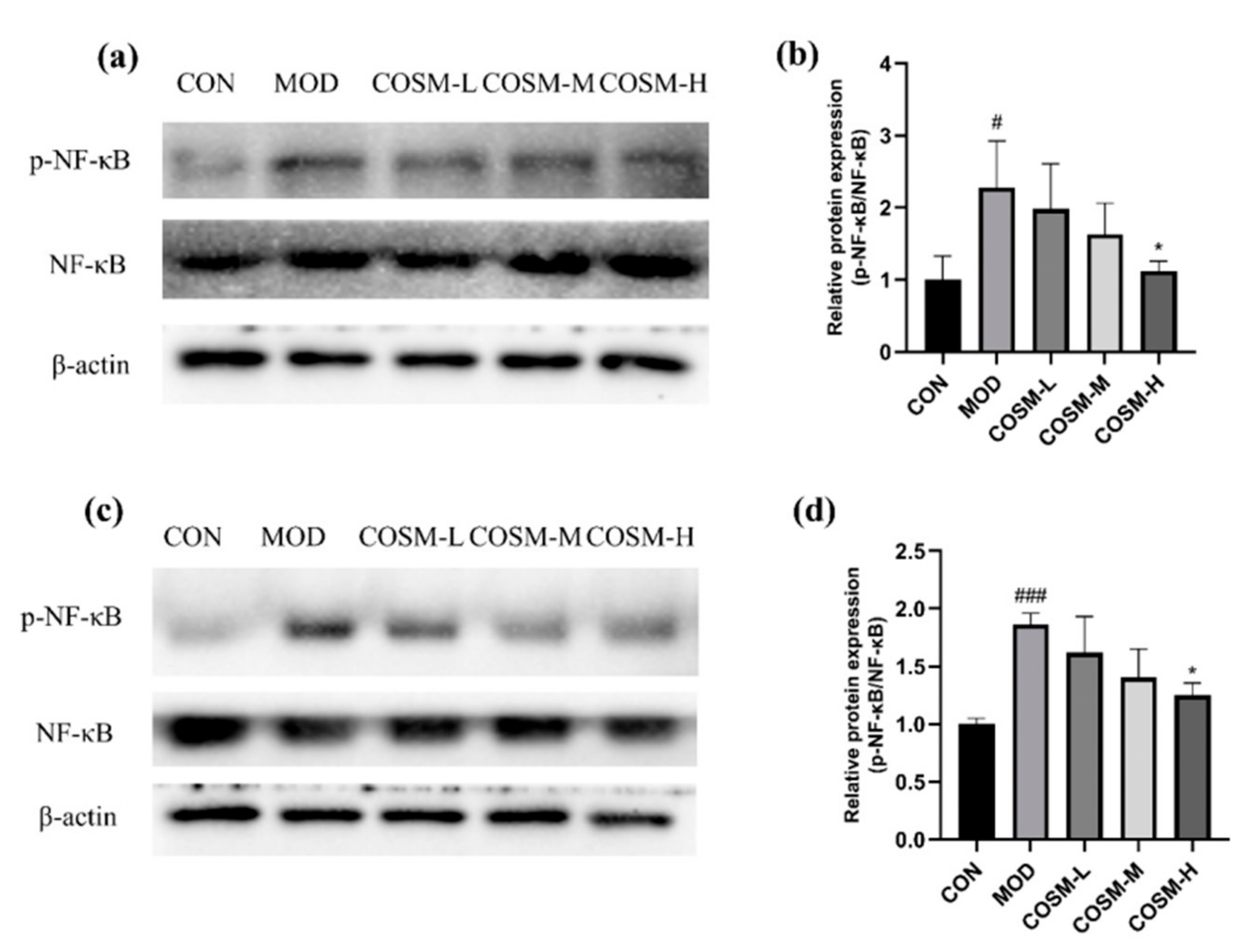 Marinedrugs 23 00134 g010