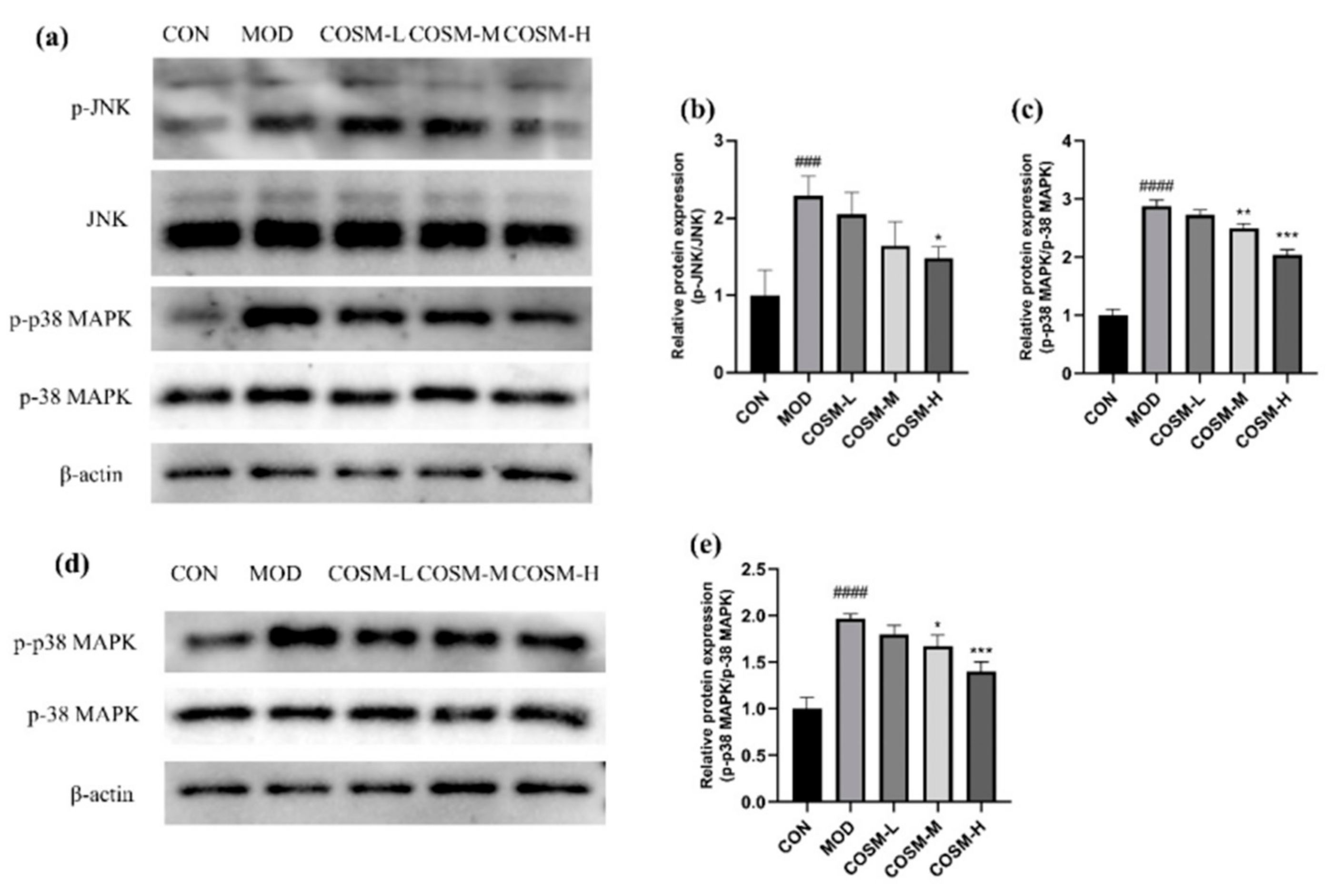 Marinedrugs 23 00134 g011