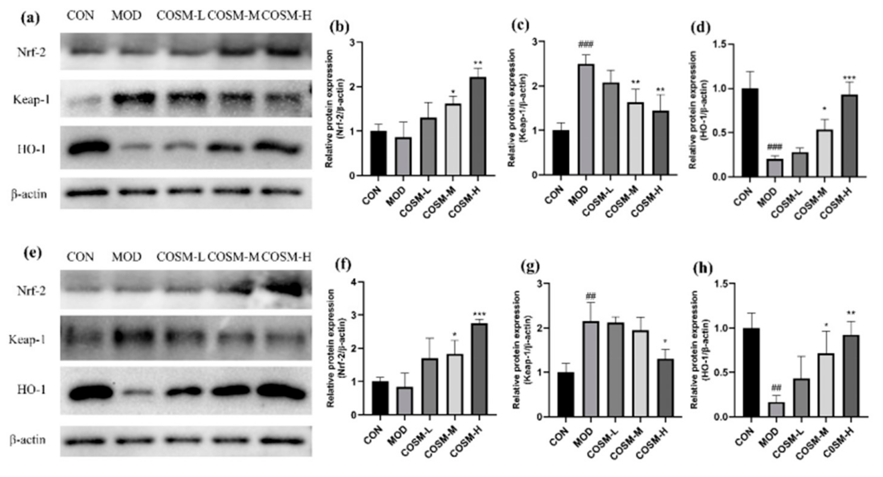 Marinedrugs 23 00134 g012