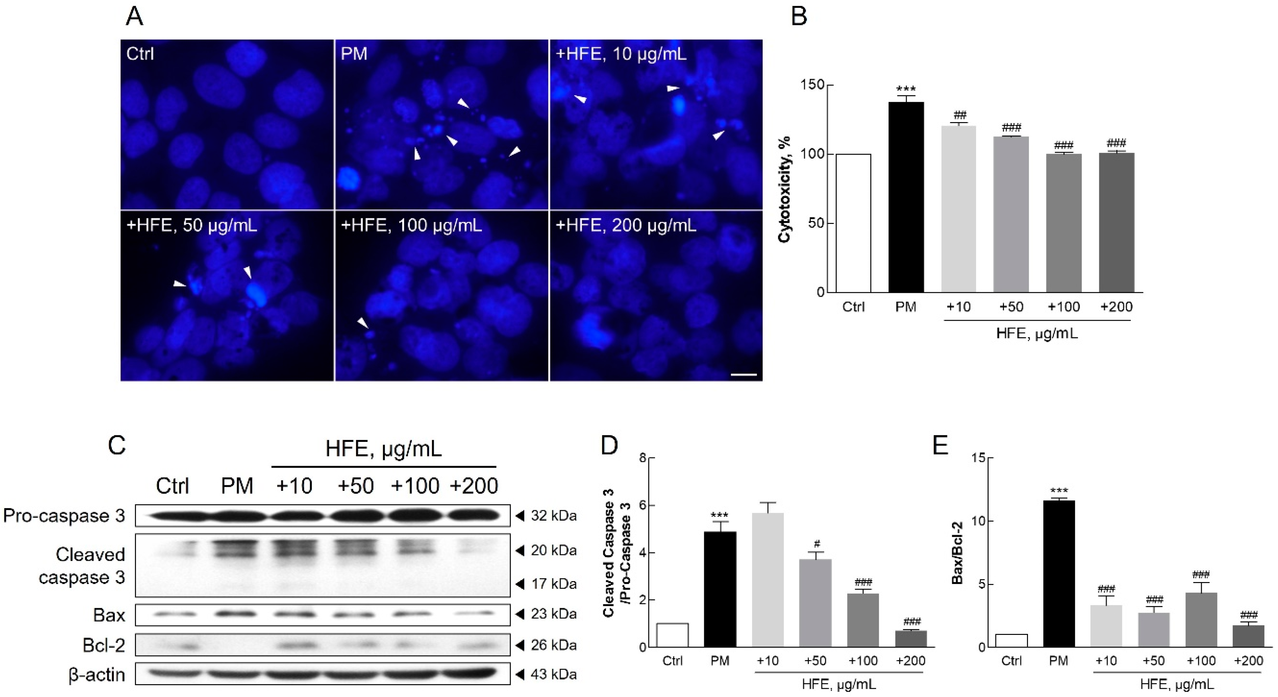 Marinedrugs 23 00135 g004