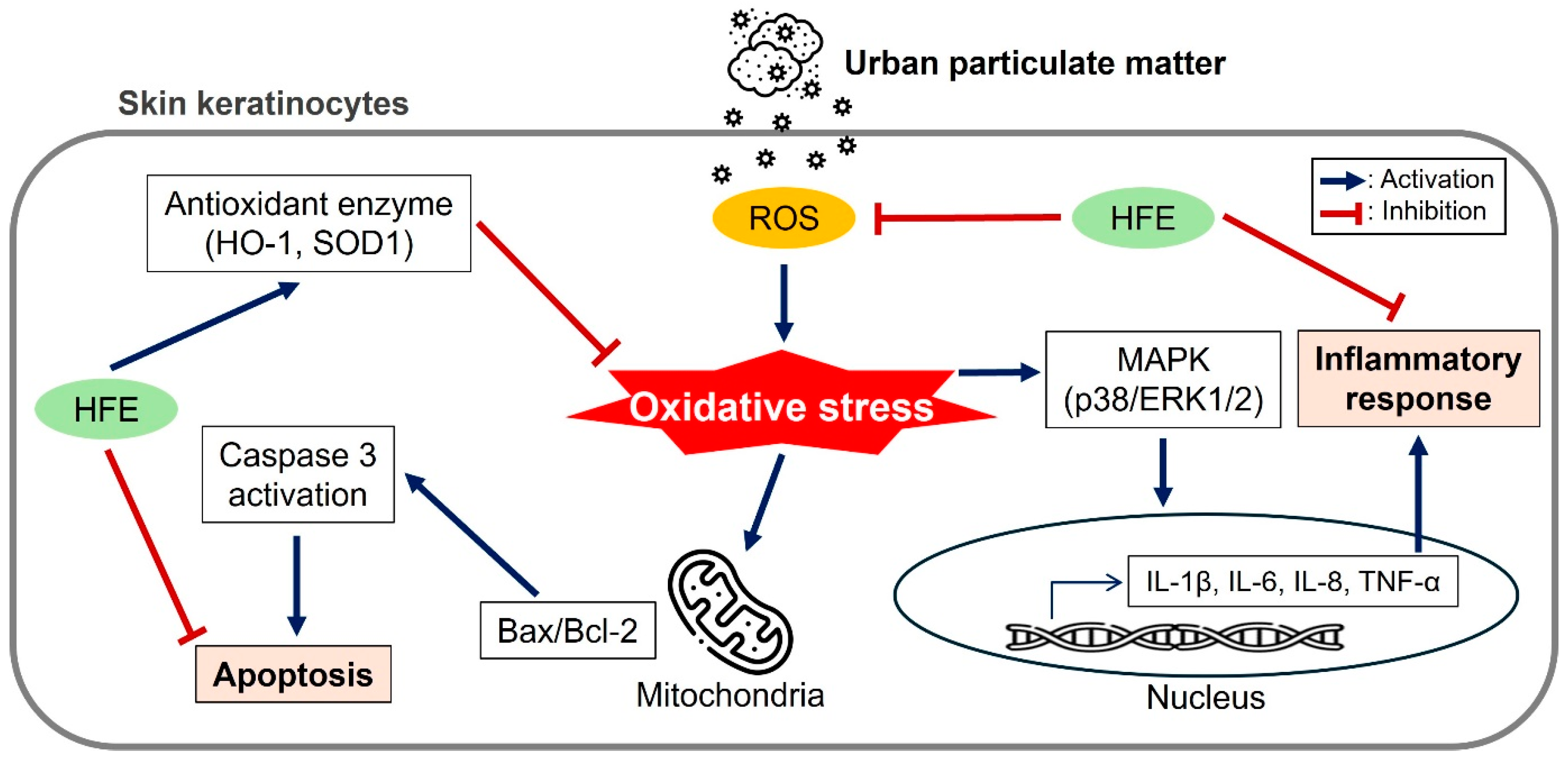 Marinedrugs 23 00135 g006
